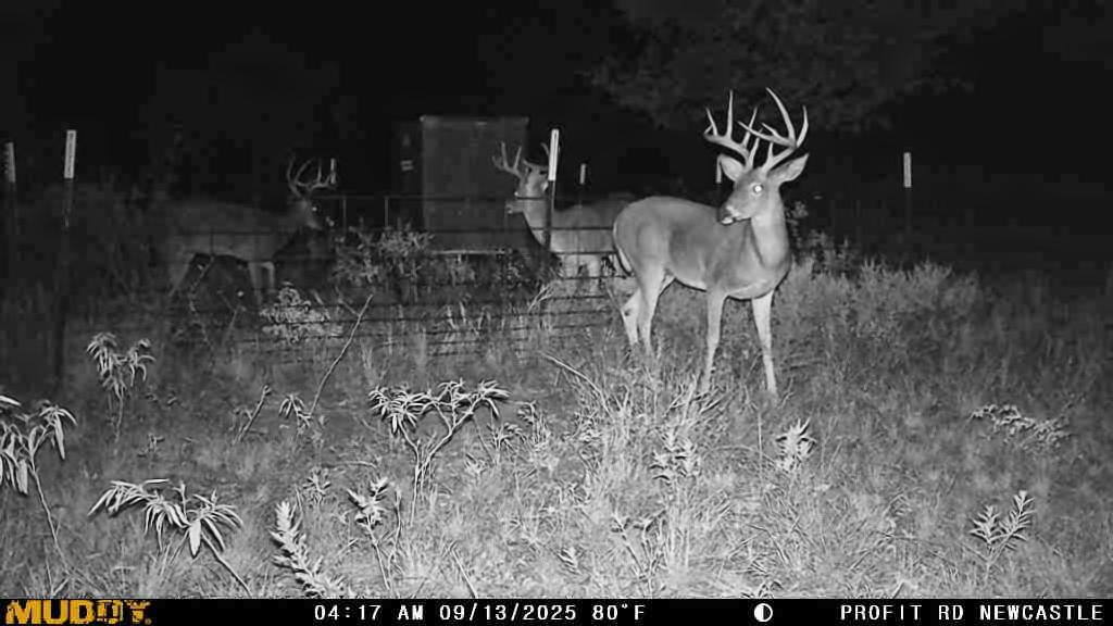 000 Proffitt Road Newcastle TX 76372