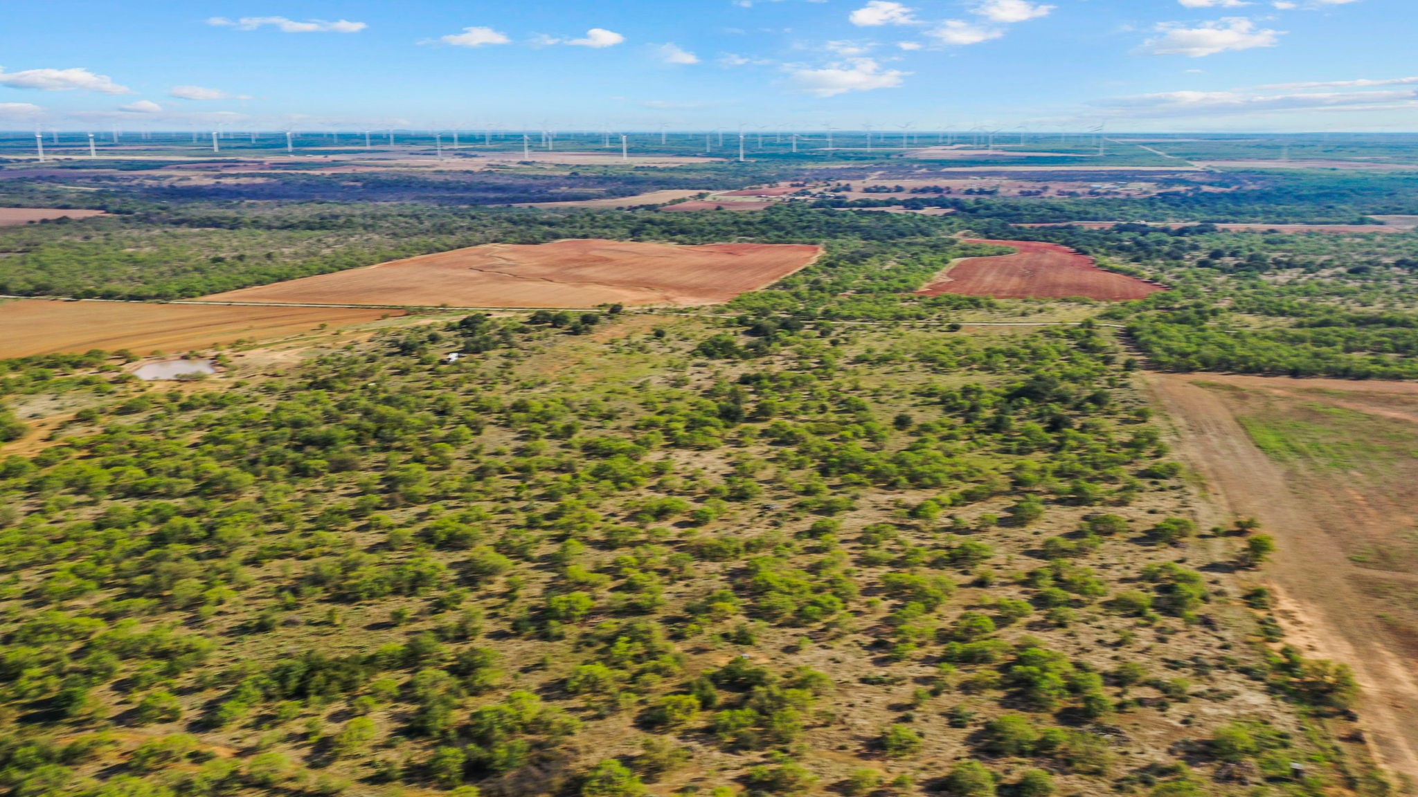 000 Proffitt Road Newcastle TX 76372