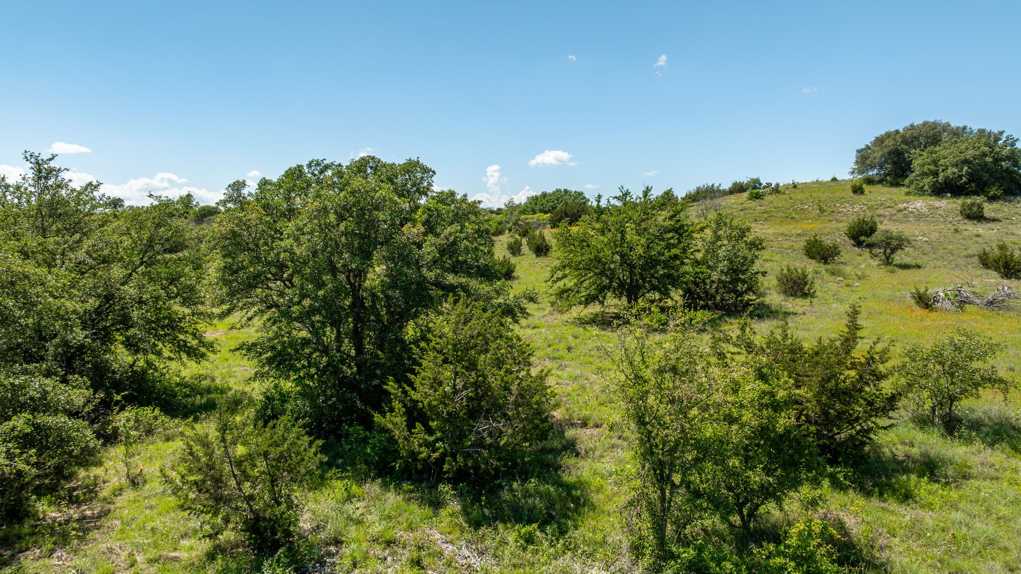1510 Hidden Oaks Trail Glen Rose TX 76043