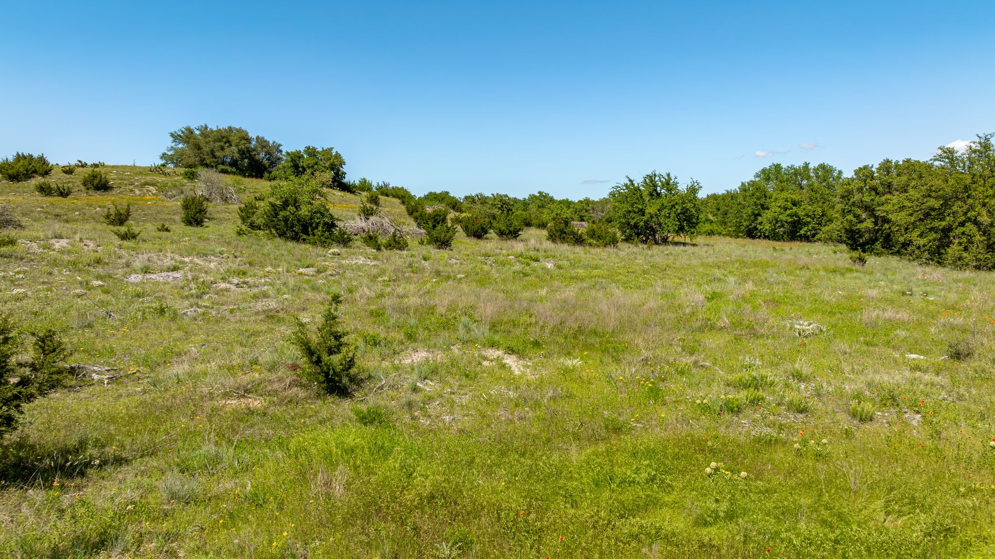 1510 Hidden Oaks Trail Glen Rose TX 76043