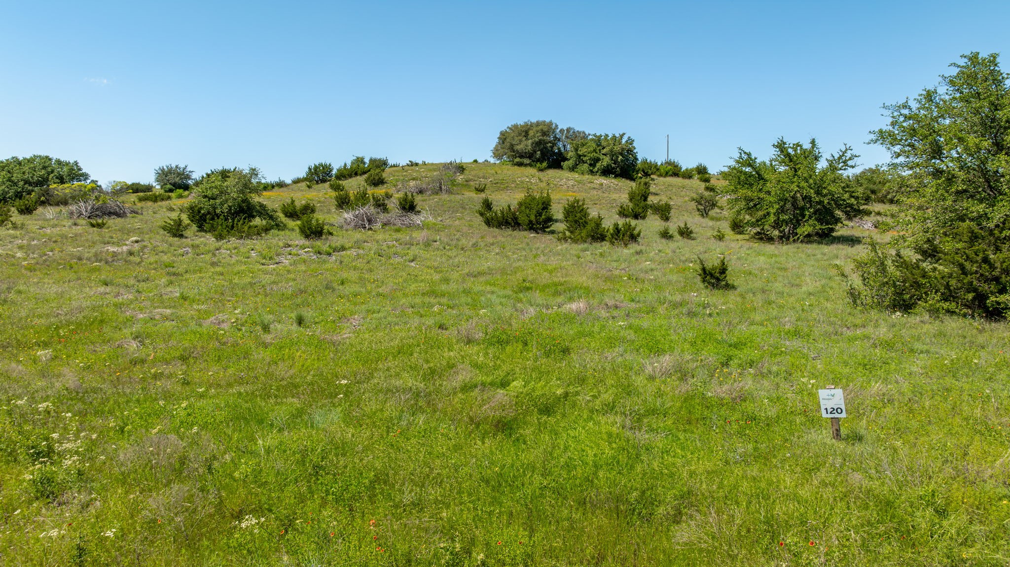 1510 Hidden Oaks Trail Glen Rose TX 76043