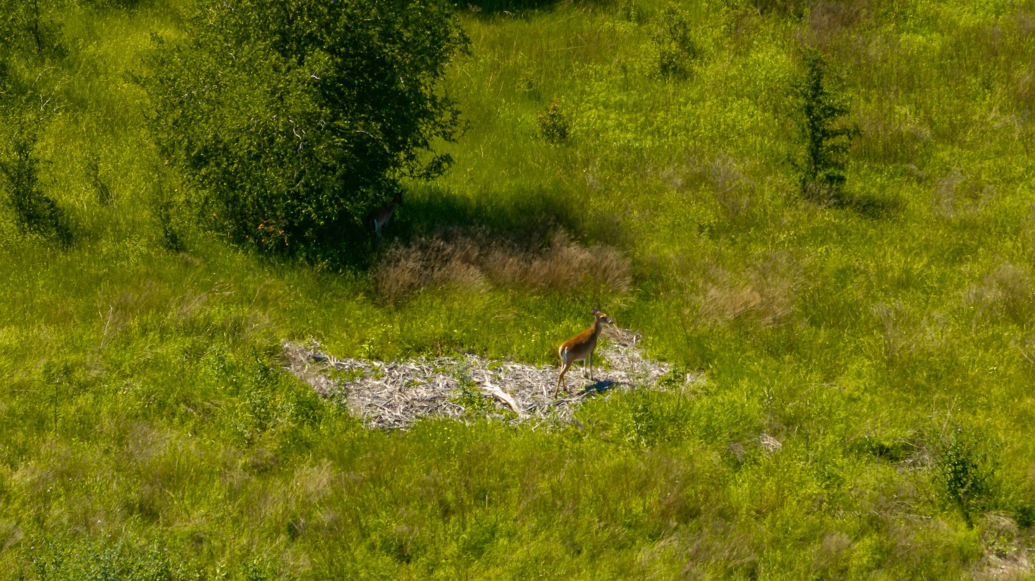 1510 Hidden Oaks Trail Glen Rose TX 76043
