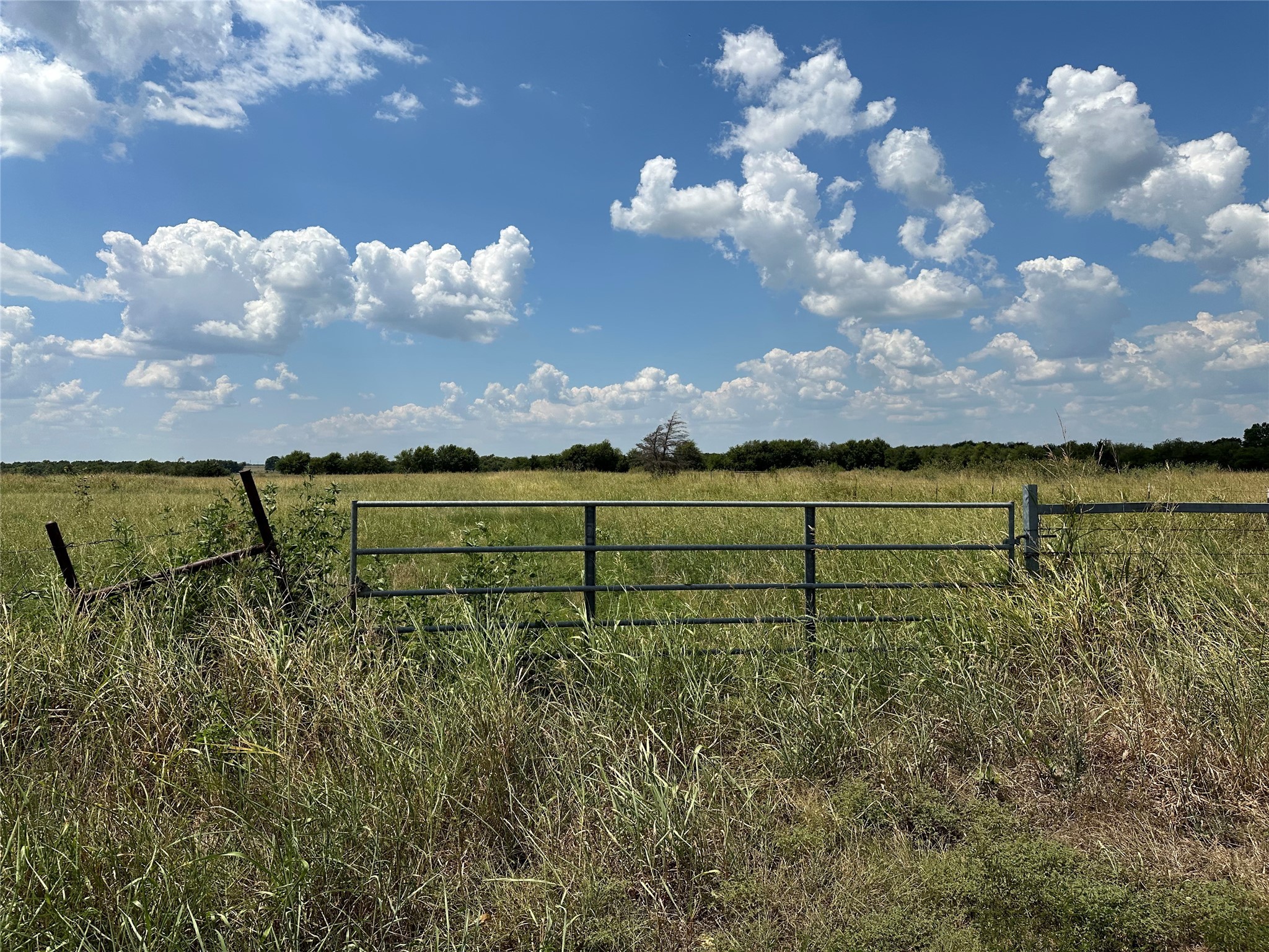 Lot 10 Eastline Road Whitewright TX 75491
