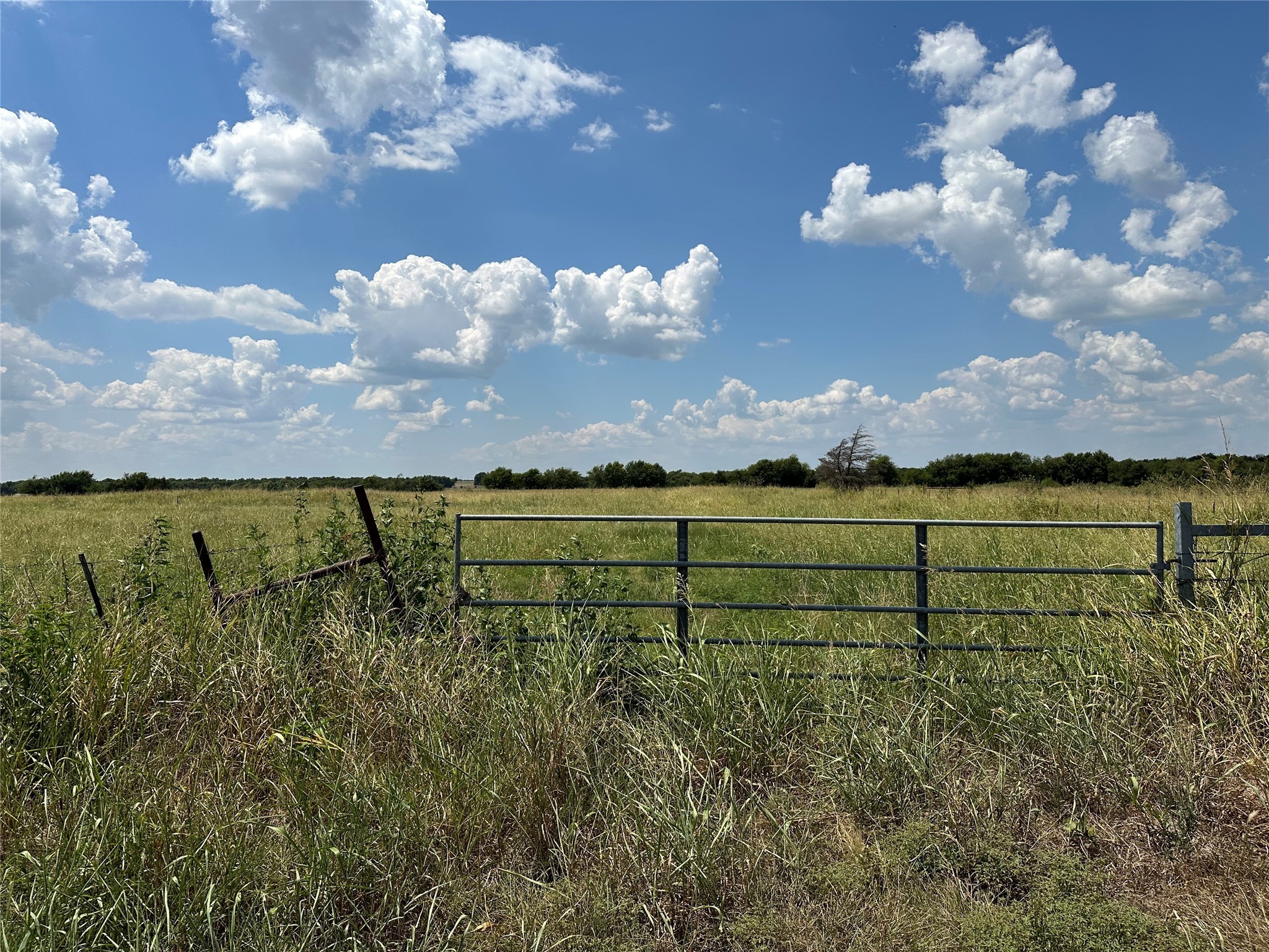 Lot 10 Eastline Road Whitewright TX 75491