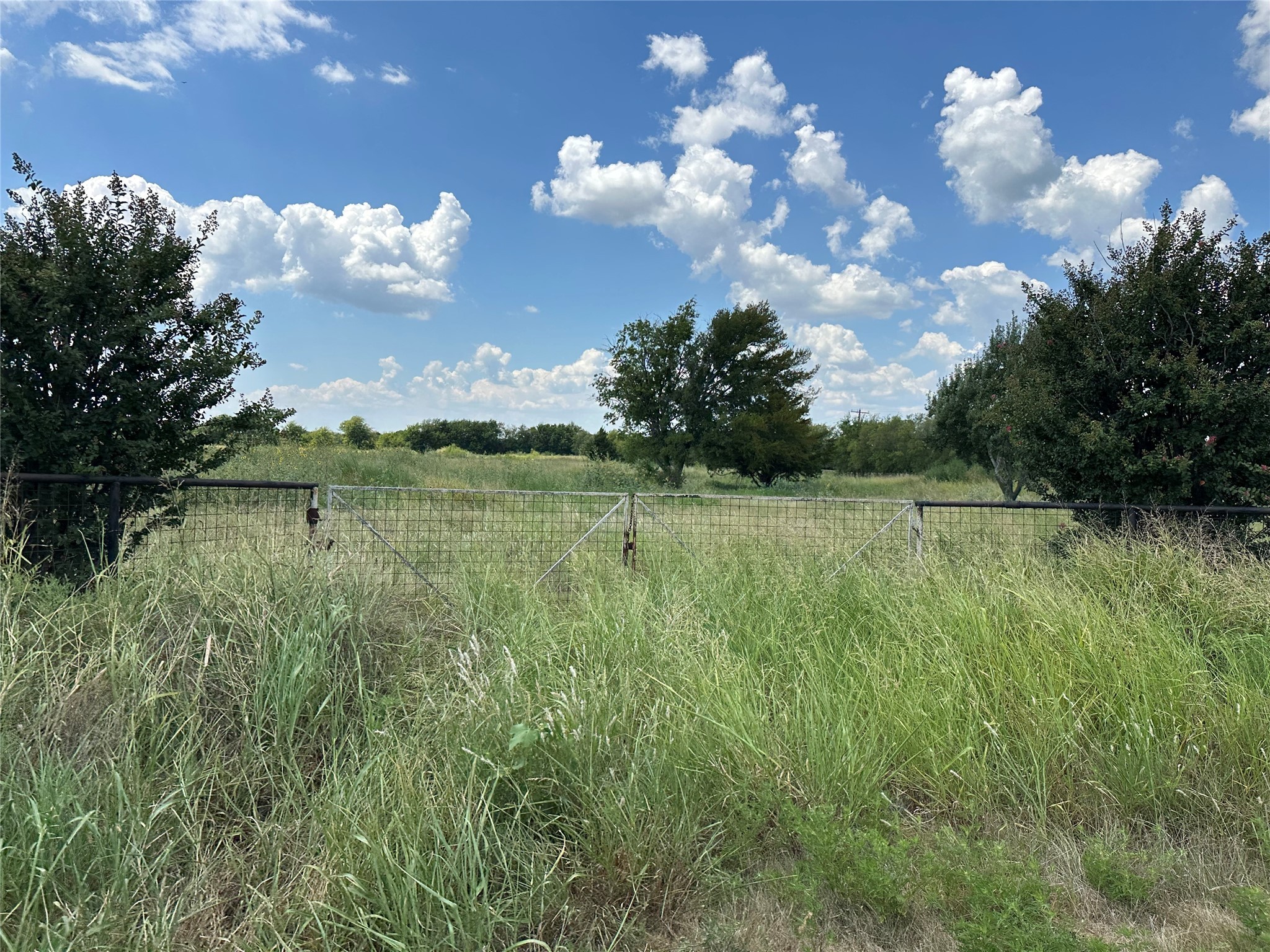 Lot 10 Eastline Road Whitewright TX 75491