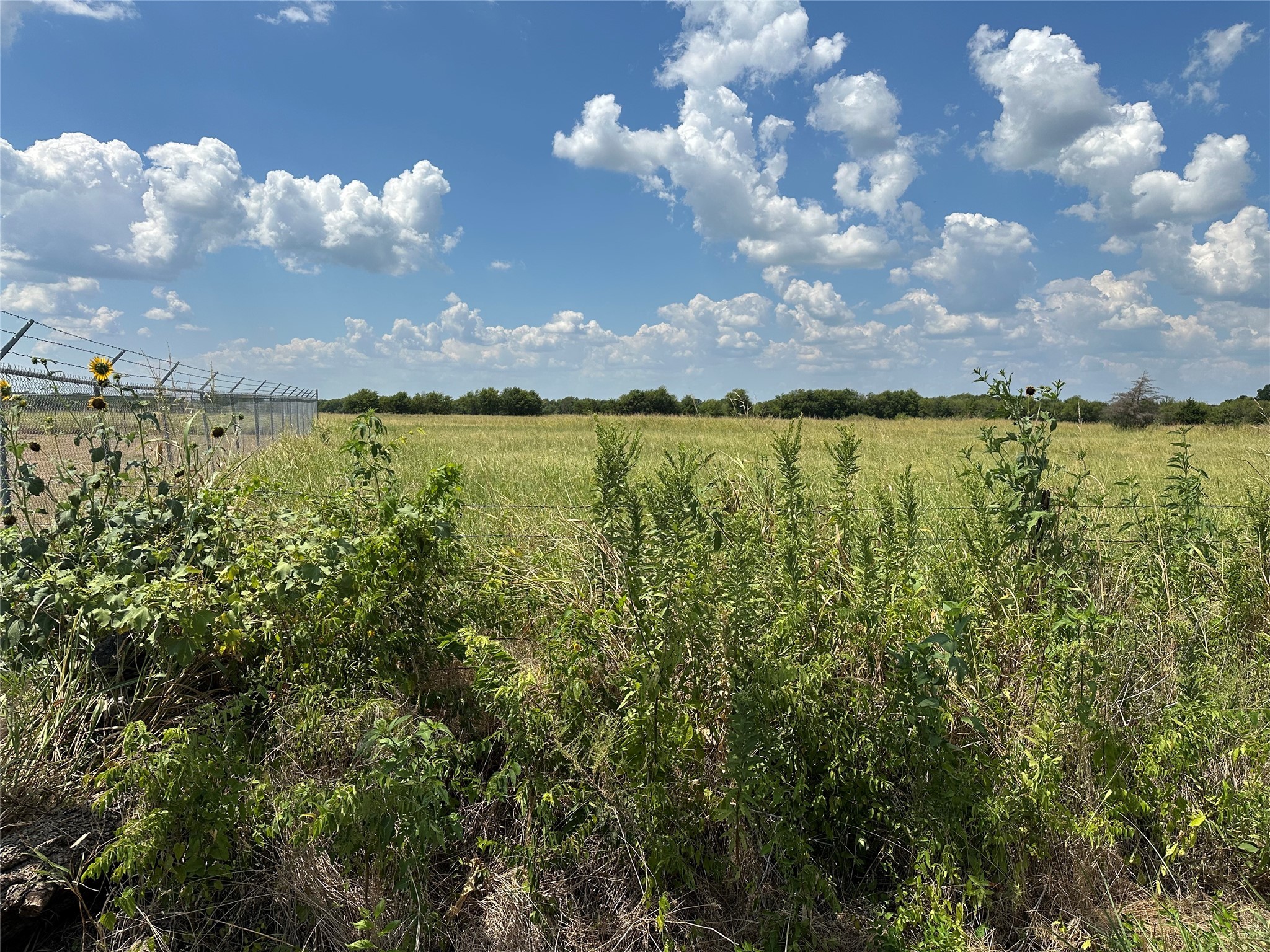 Lot 10 Eastline Road Whitewright TX 75491