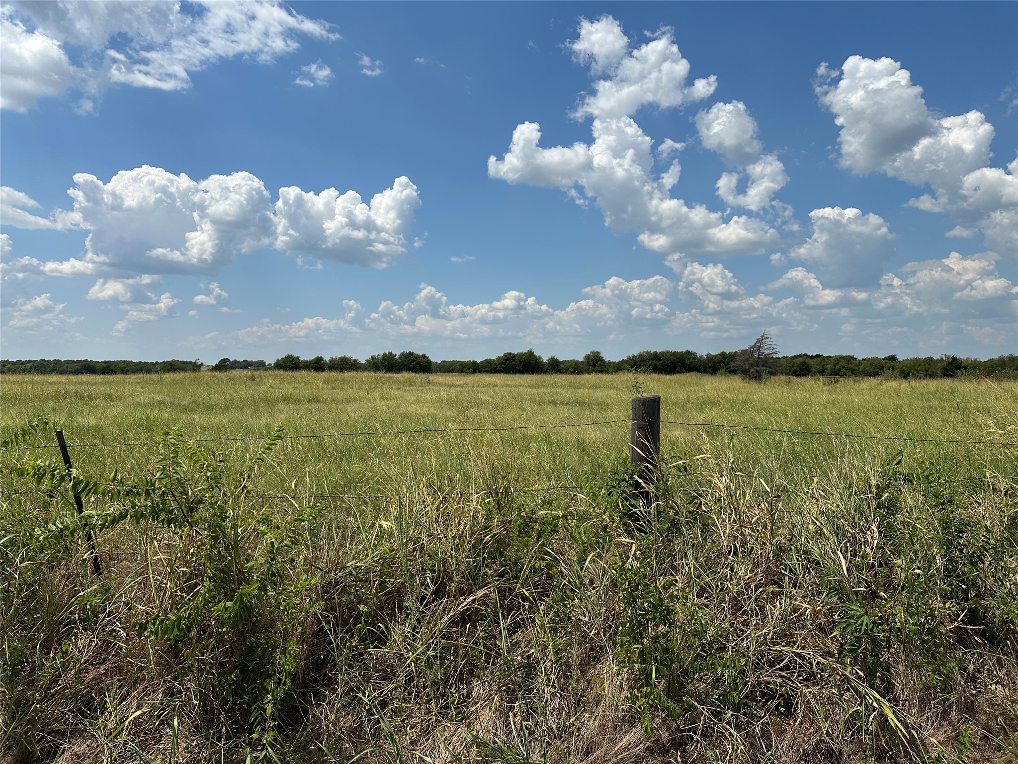 Lot 10 Eastline Road Whitewright TX 75491