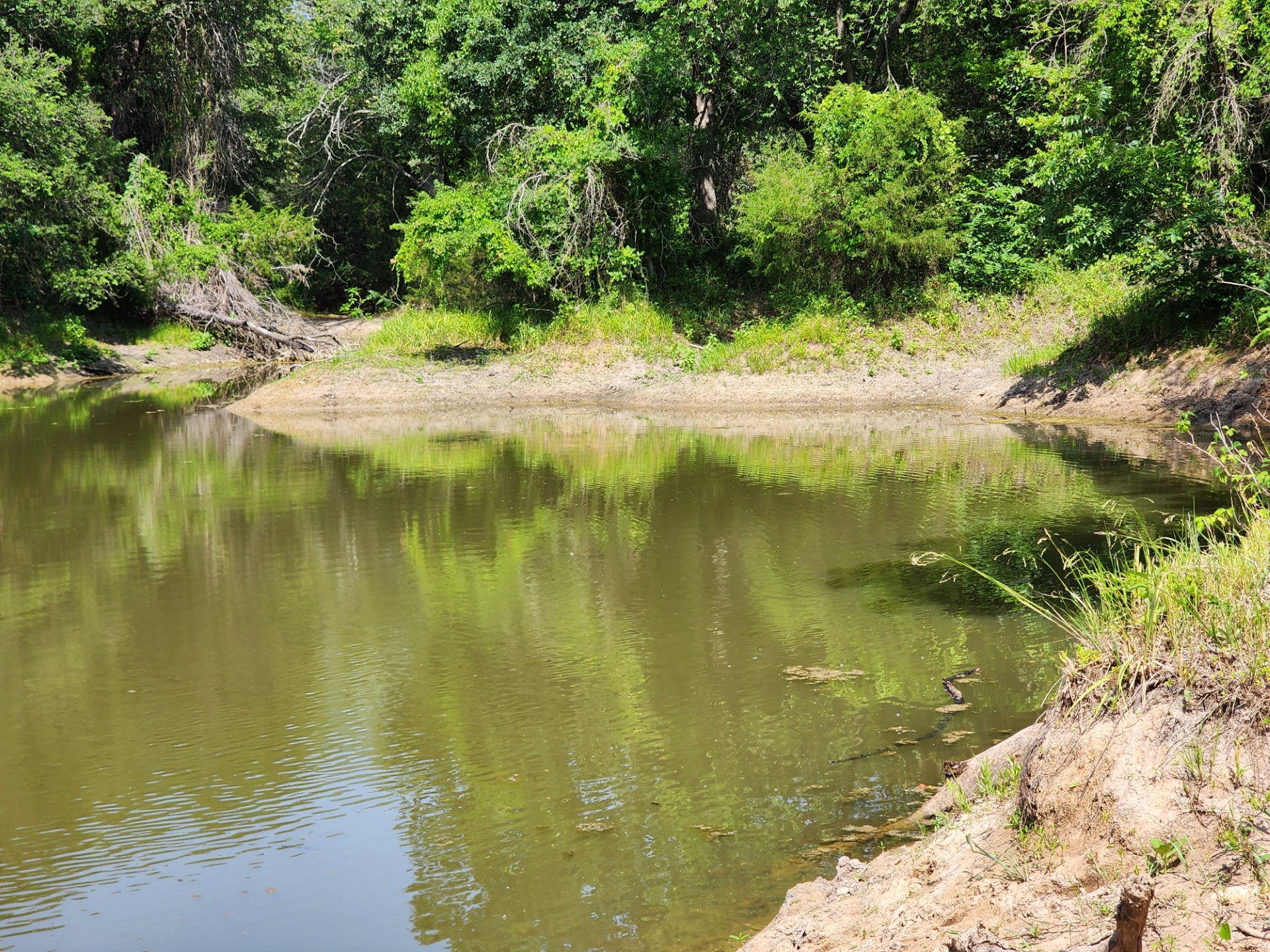 000 County Road 1270 Alvord TX 76225