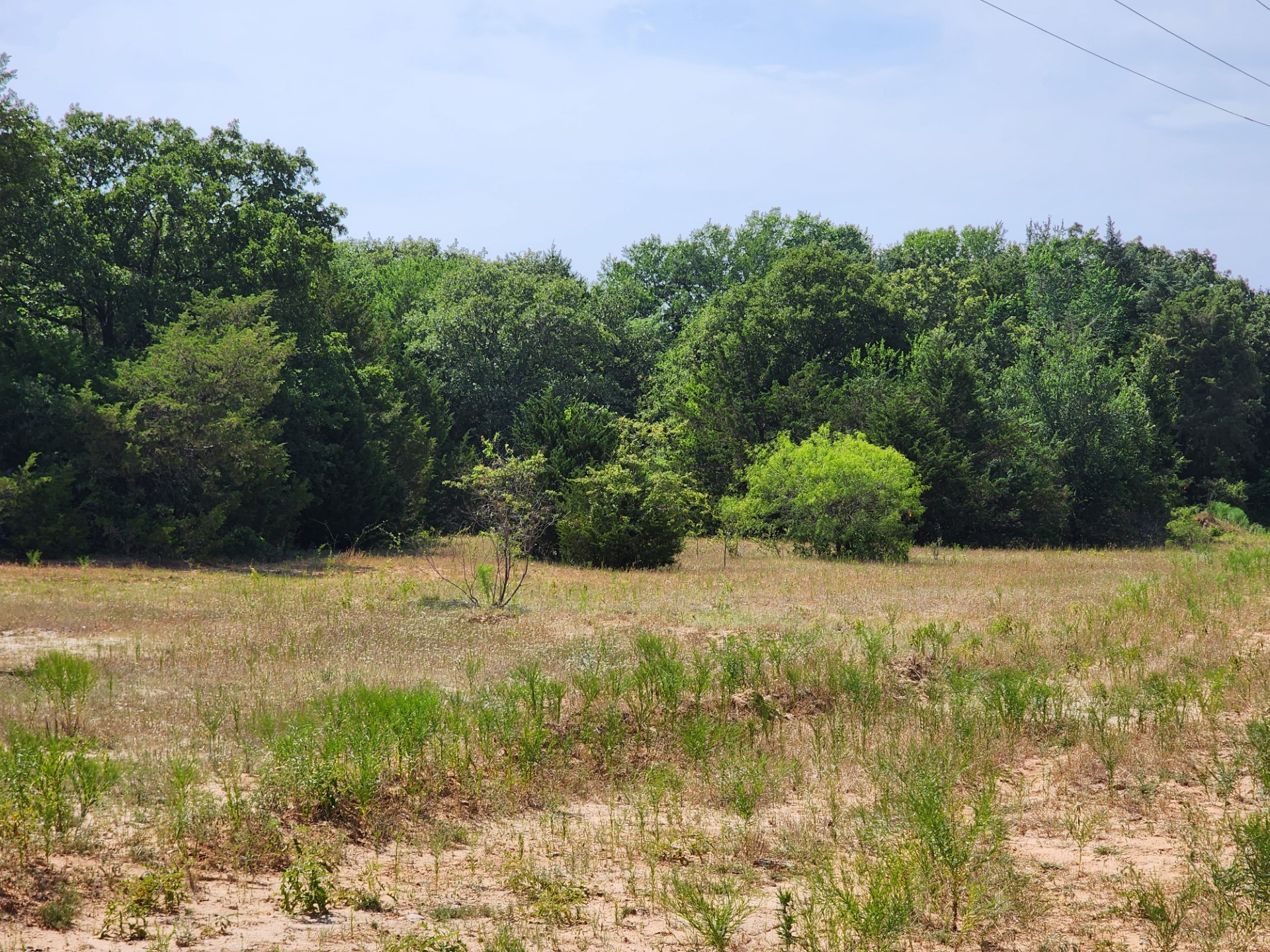 000 County Road 1270 Alvord TX 76225