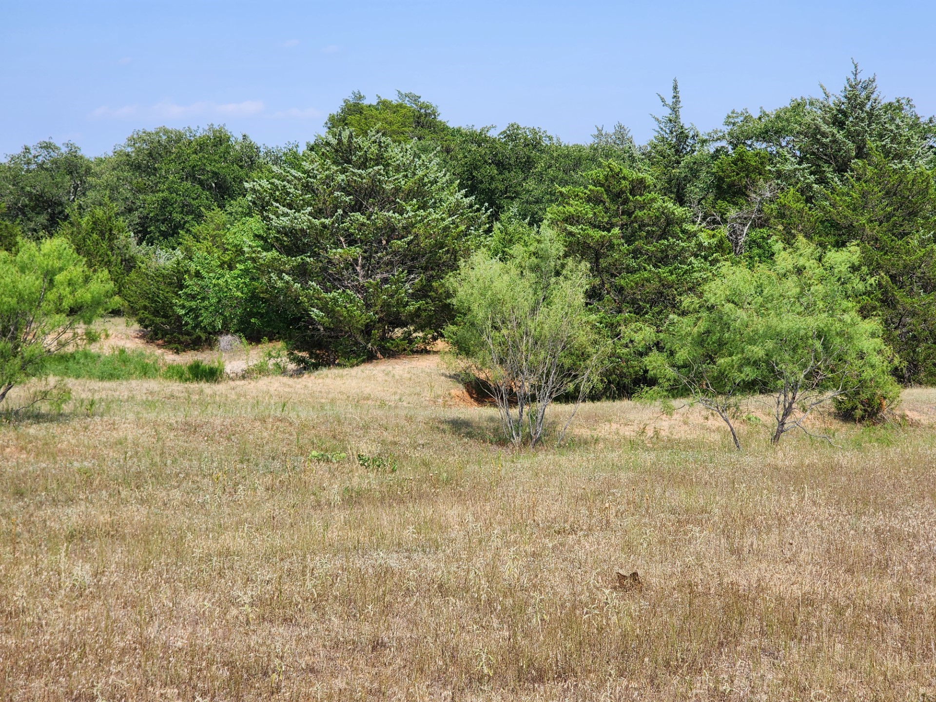 000 County Road 1270 Alvord TX 76225