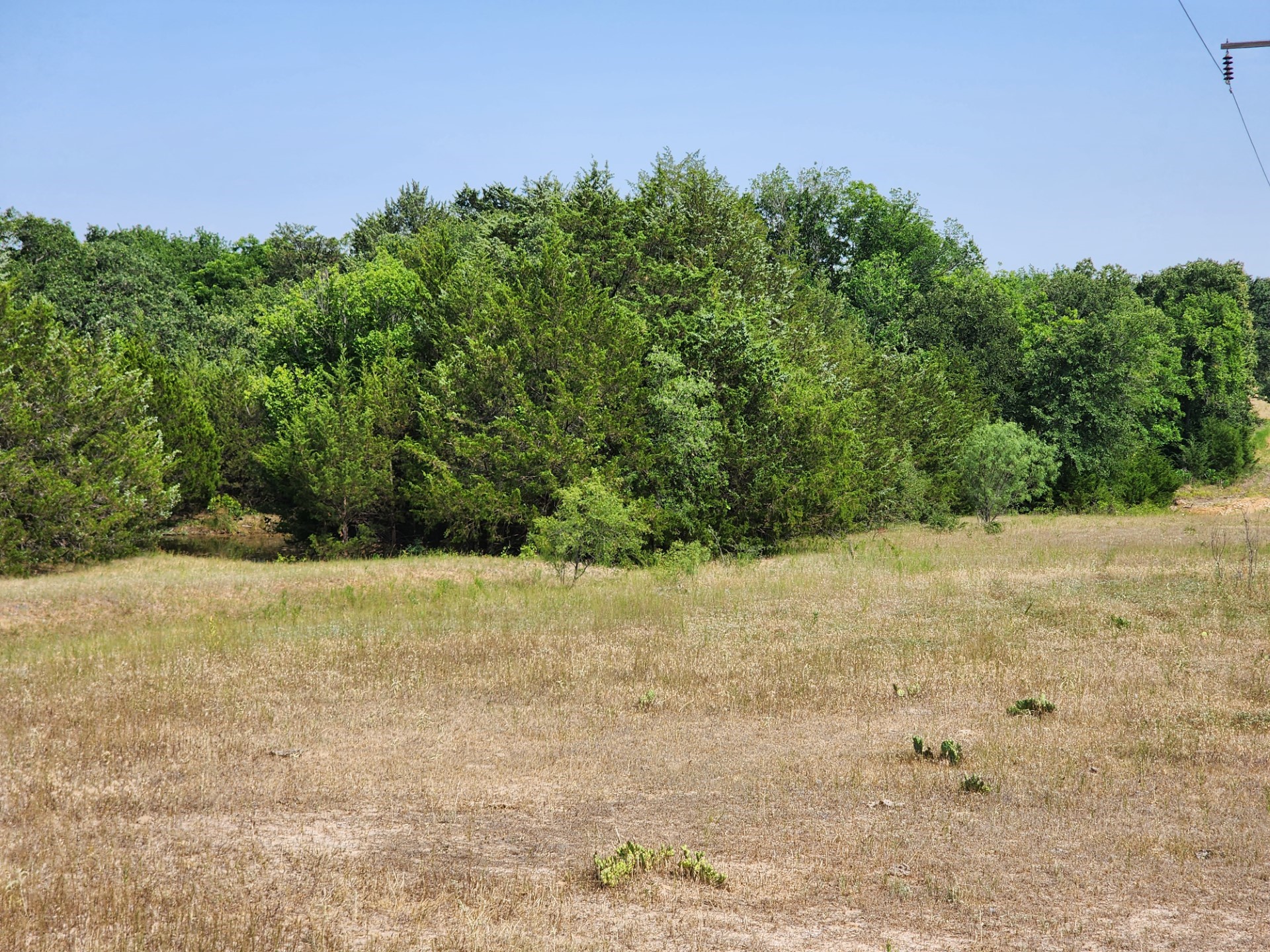 000 County Road 1270 Alvord TX 76225