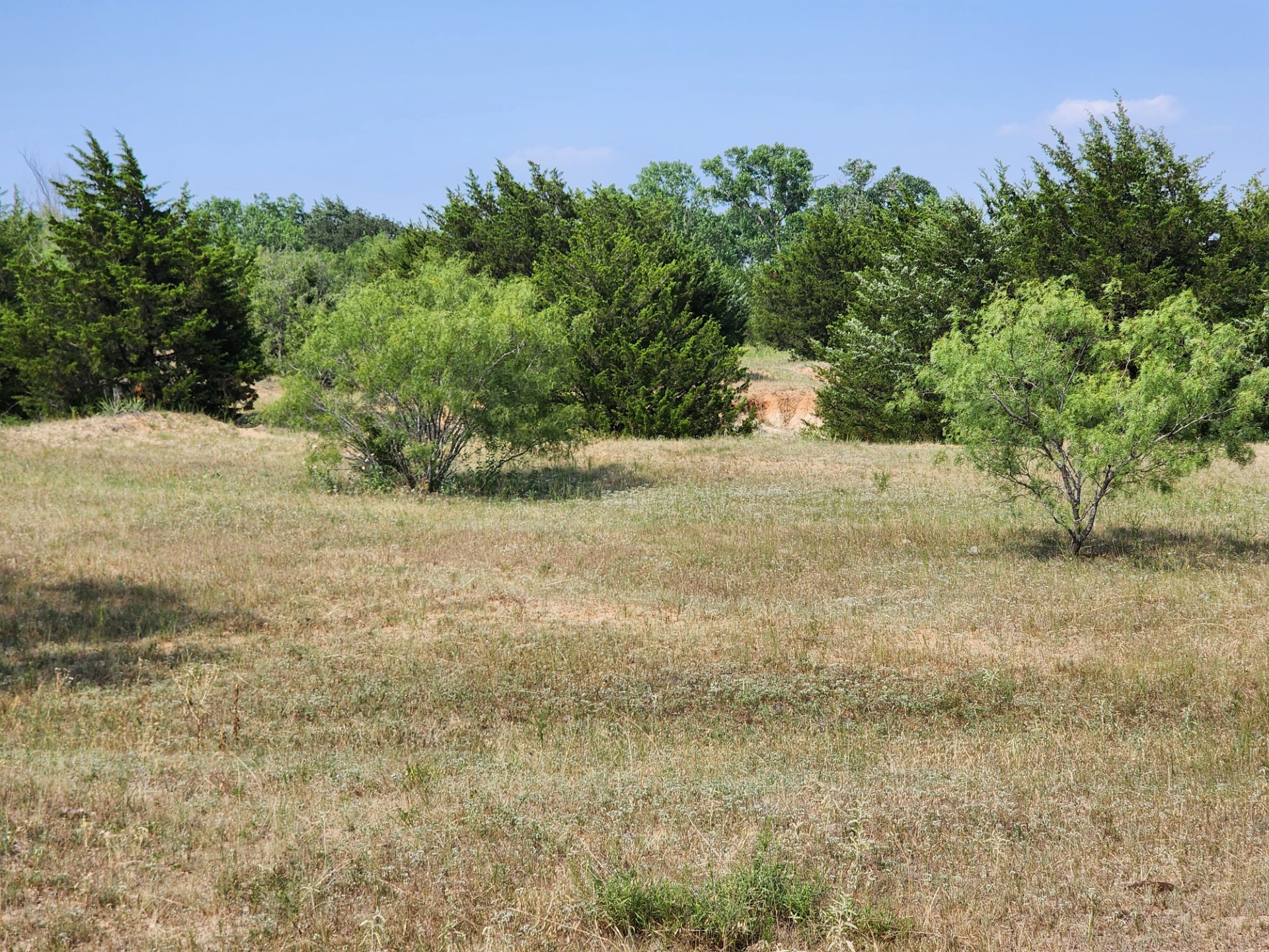 000 County Road 1270 Alvord TX 76225