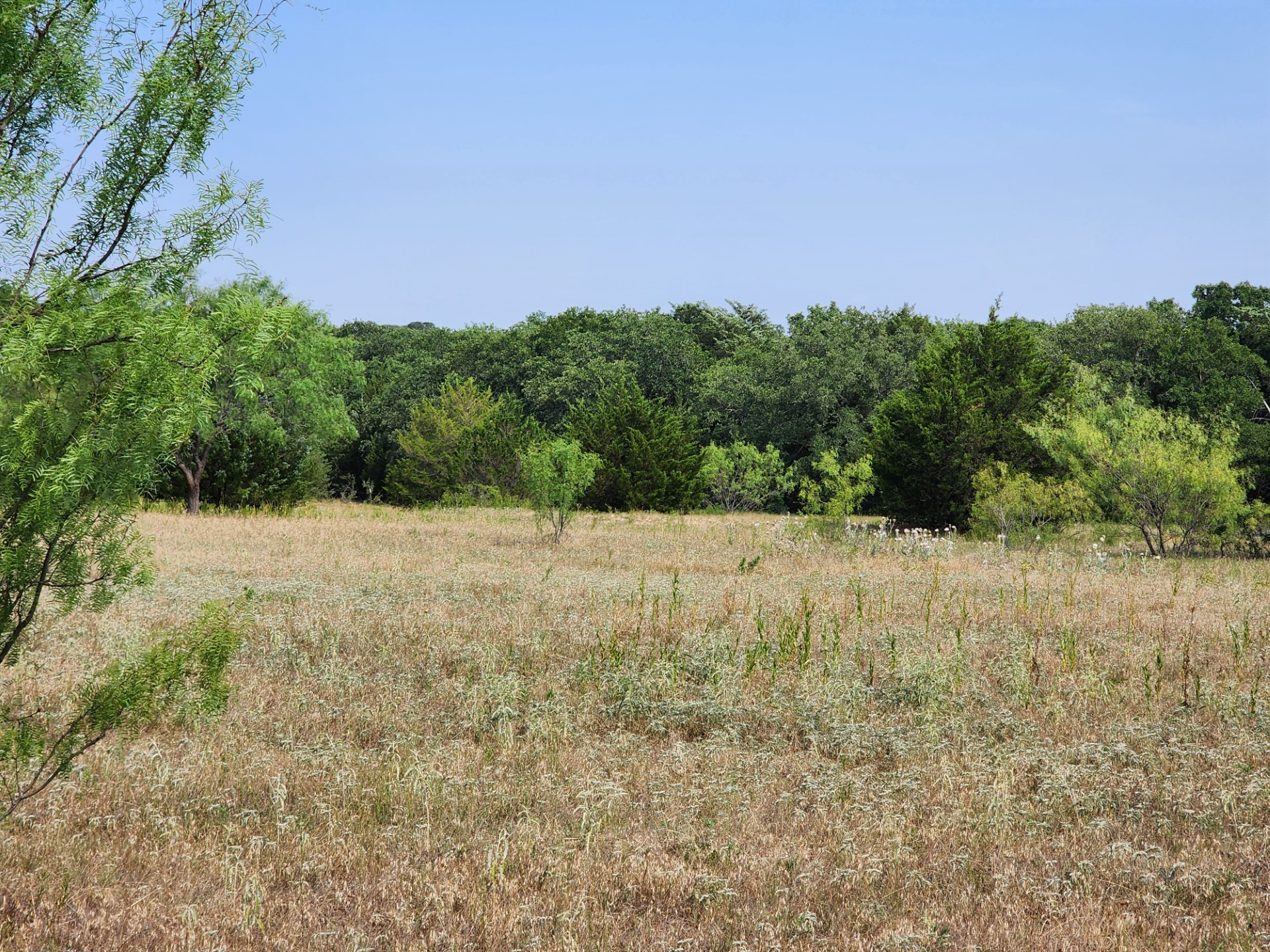 000 County Road 1270 Alvord TX 76225