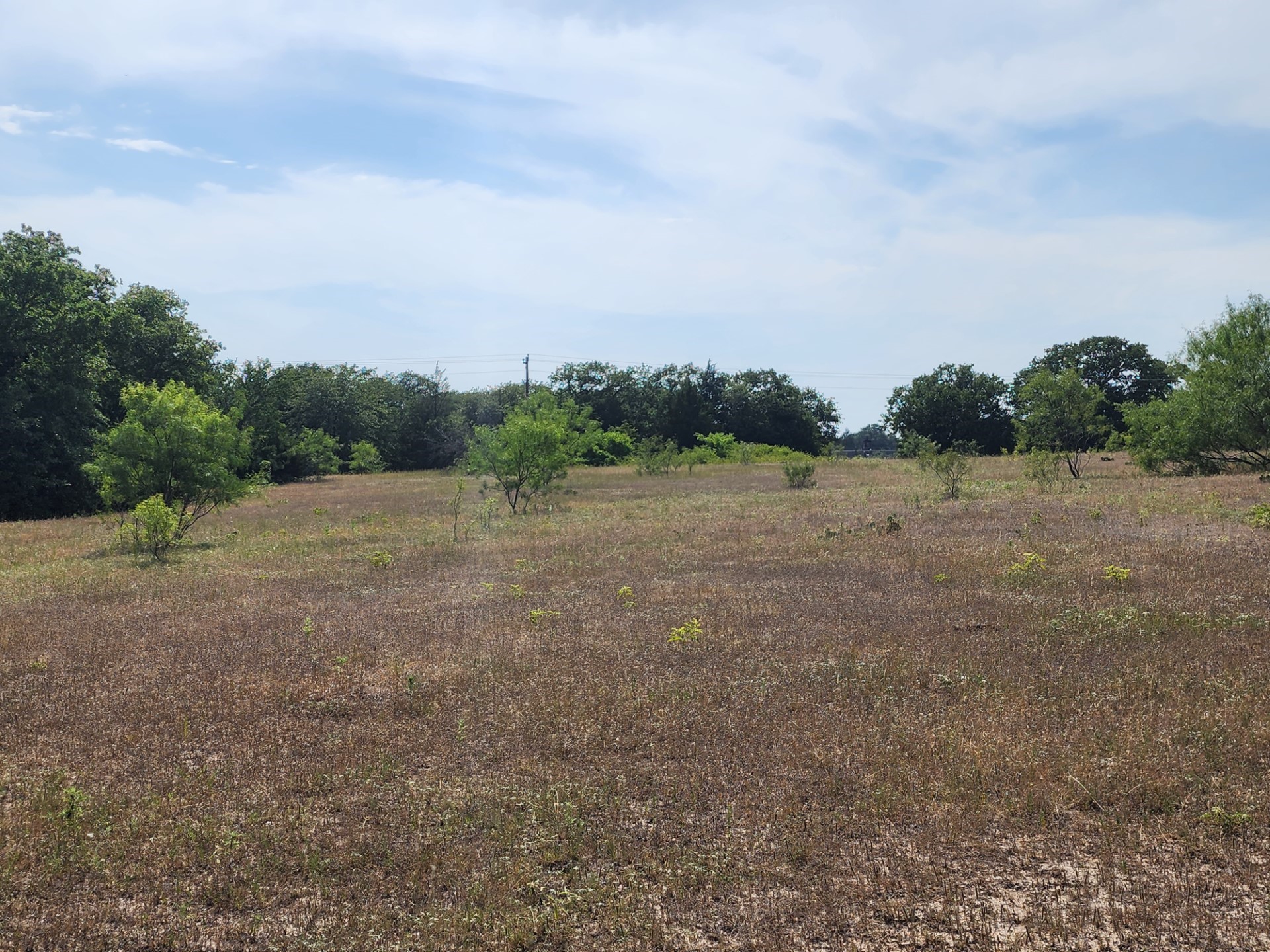 000 County Road 1270 Alvord TX 76225