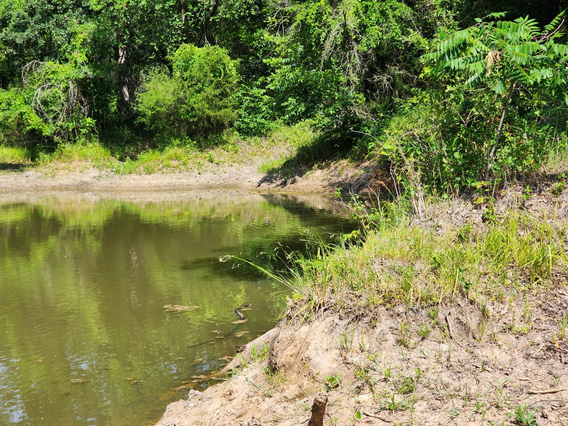 000 County Road 1270 Alvord TX 76225