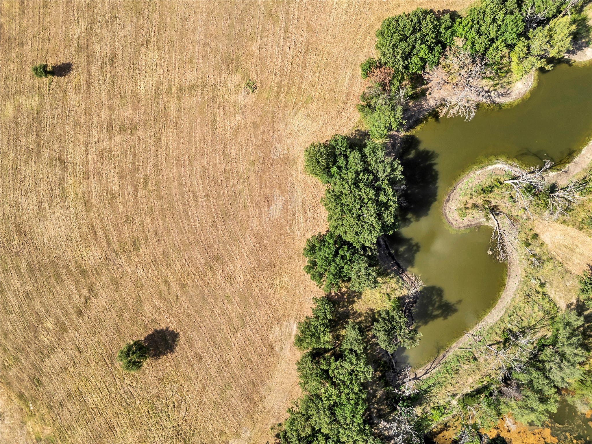 5025 Stover Way Granbury TX 76049