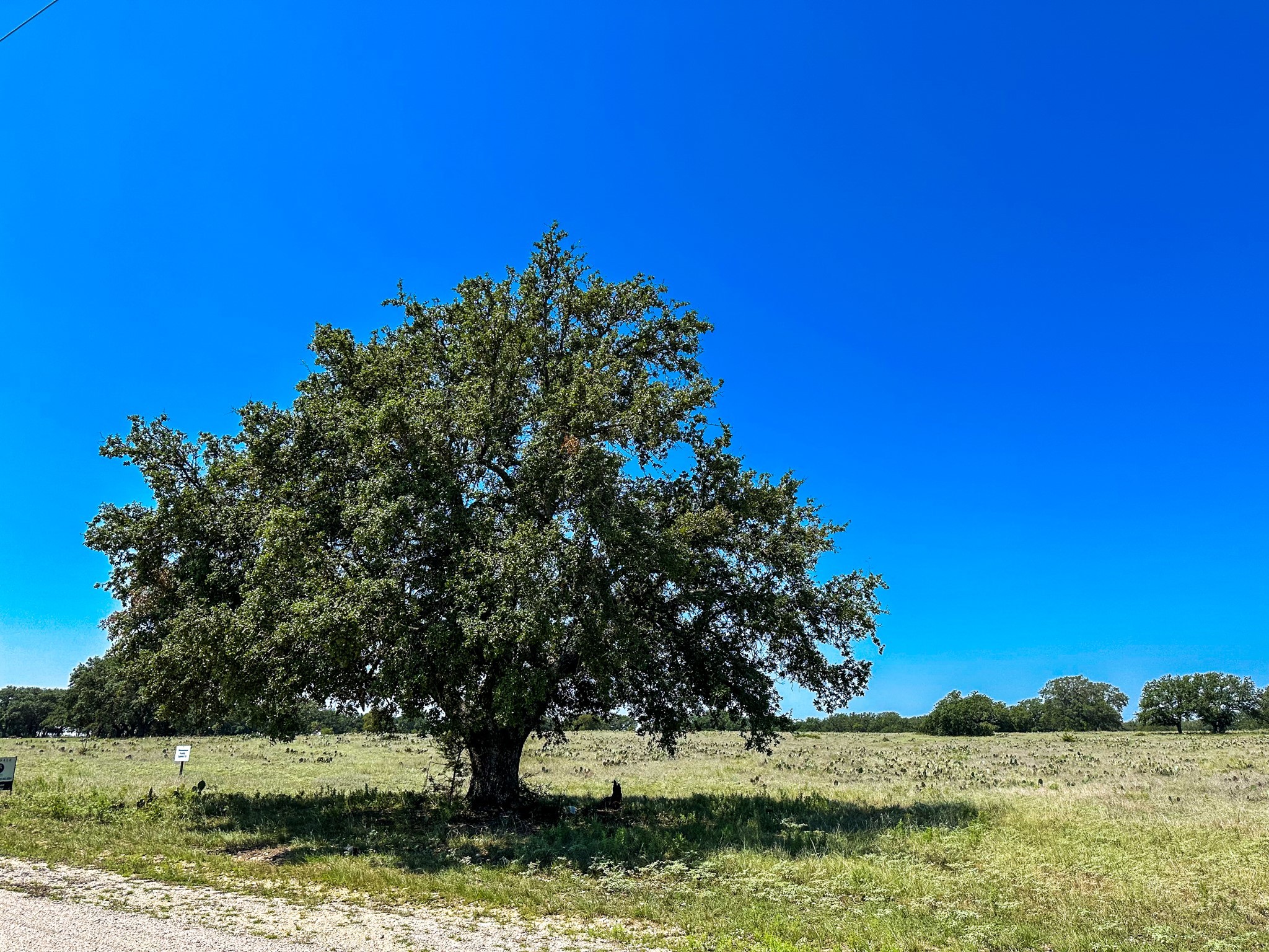 Lot 106 N Waterbuck Way Lampasas TX 76550