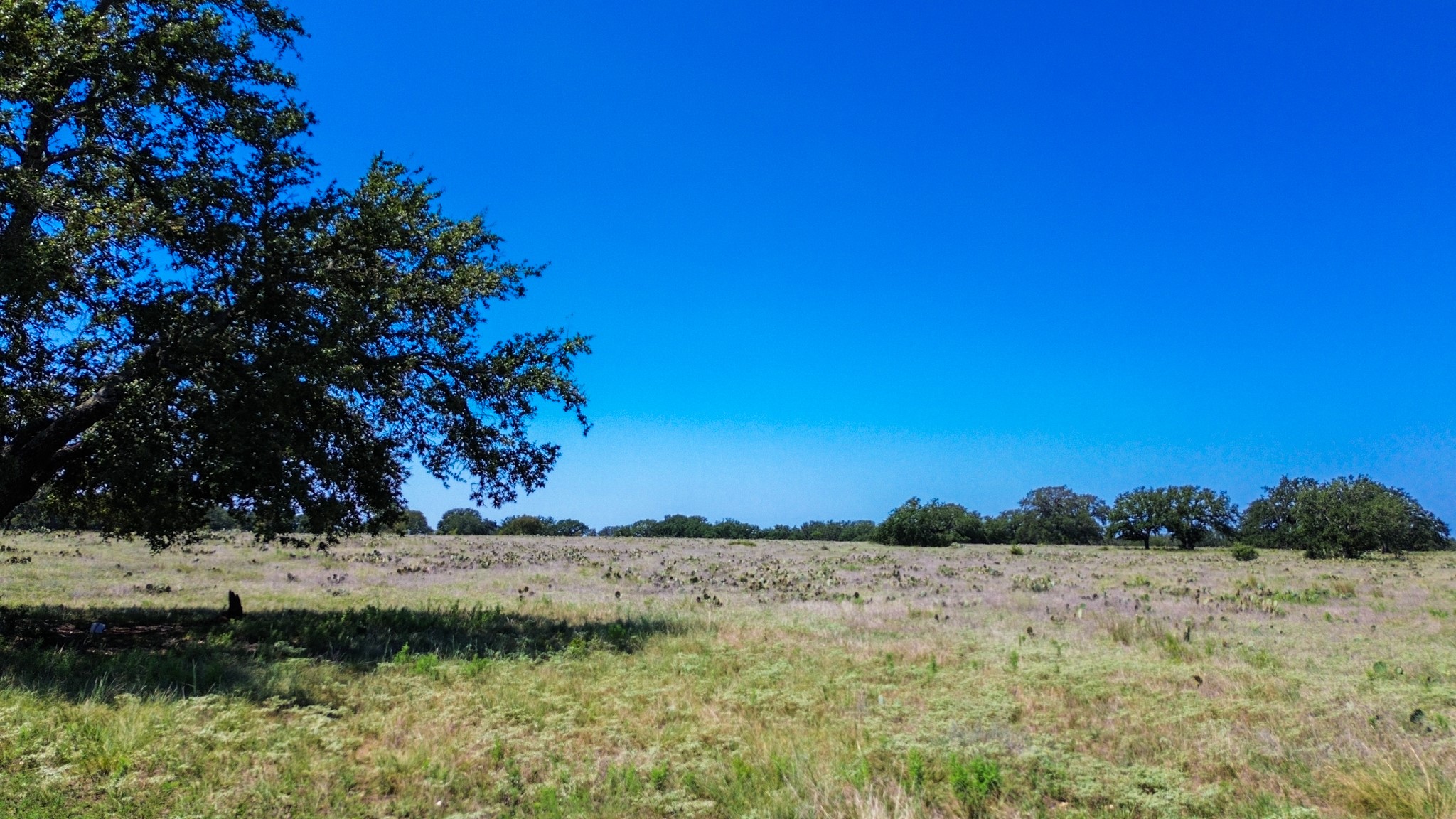 Lot 106 N Waterbuck Way Lampasas TX 76550