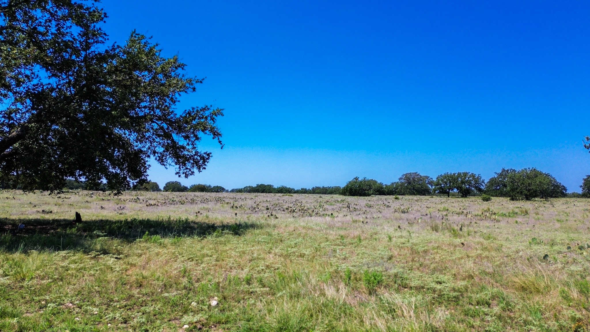 Lot 106 N Waterbuck Way Lampasas TX 76550