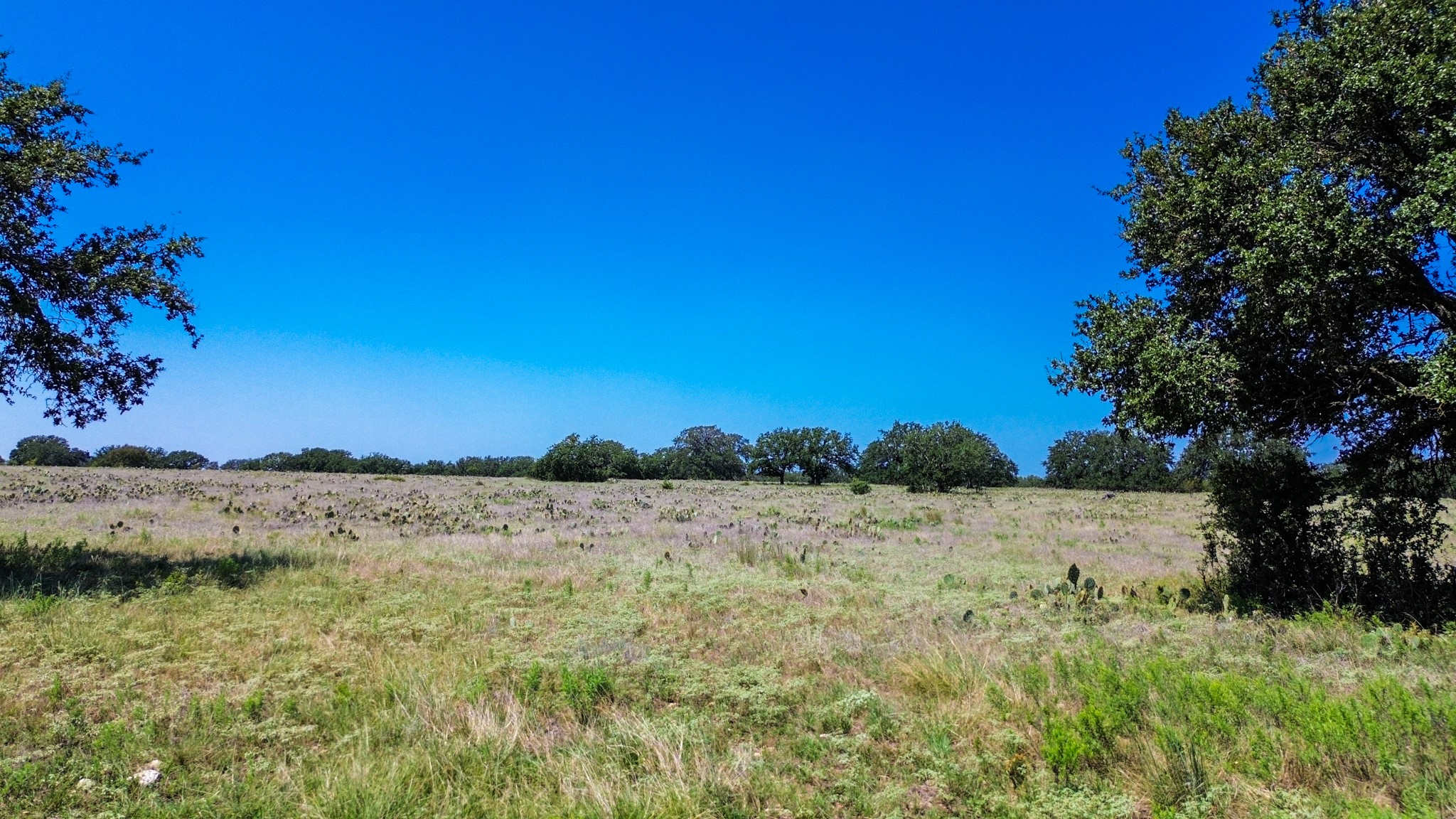 Lot 106 N Waterbuck Way Lampasas TX 76550