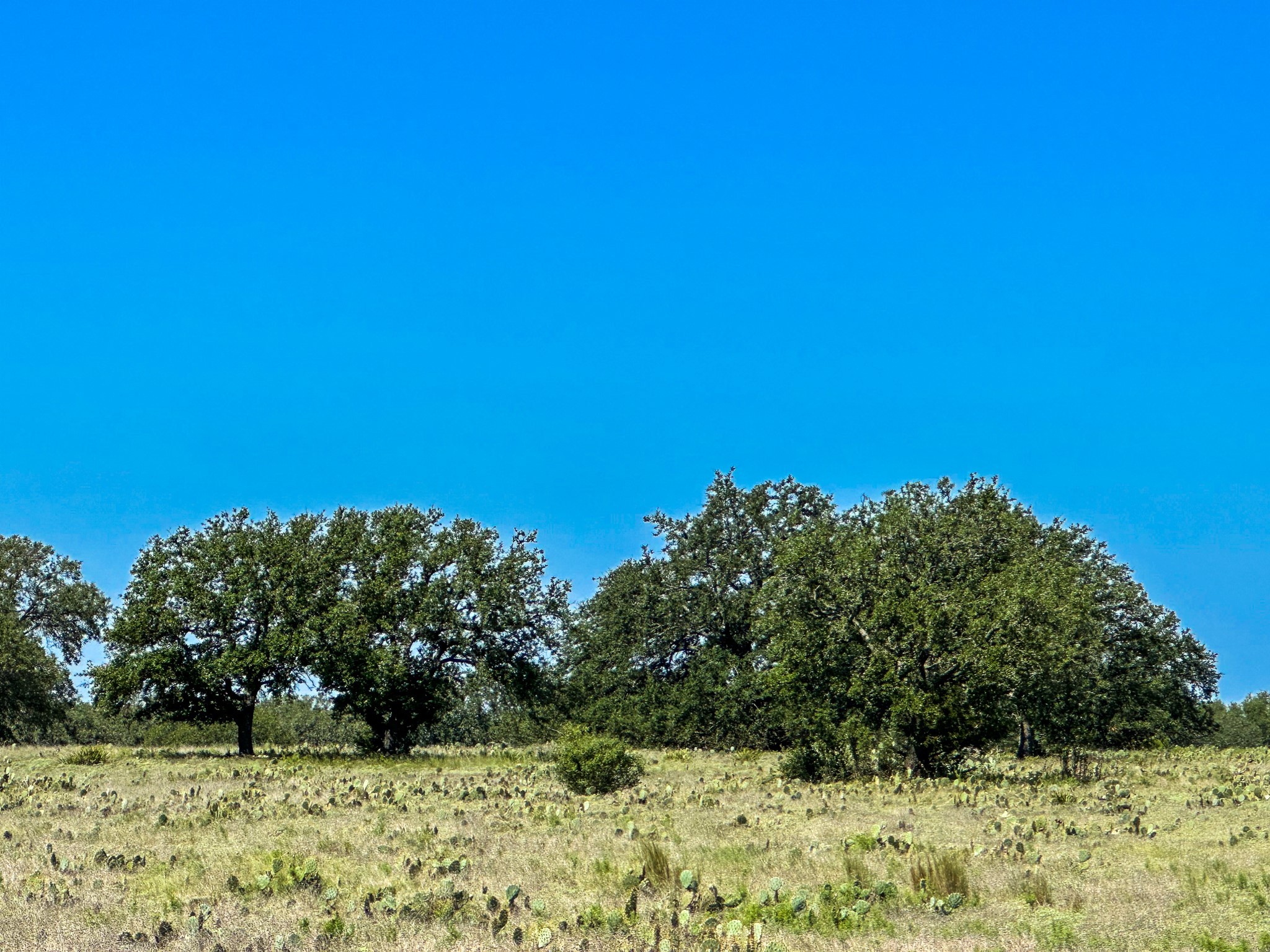 Lot 106 N Waterbuck Way Lampasas TX 76550