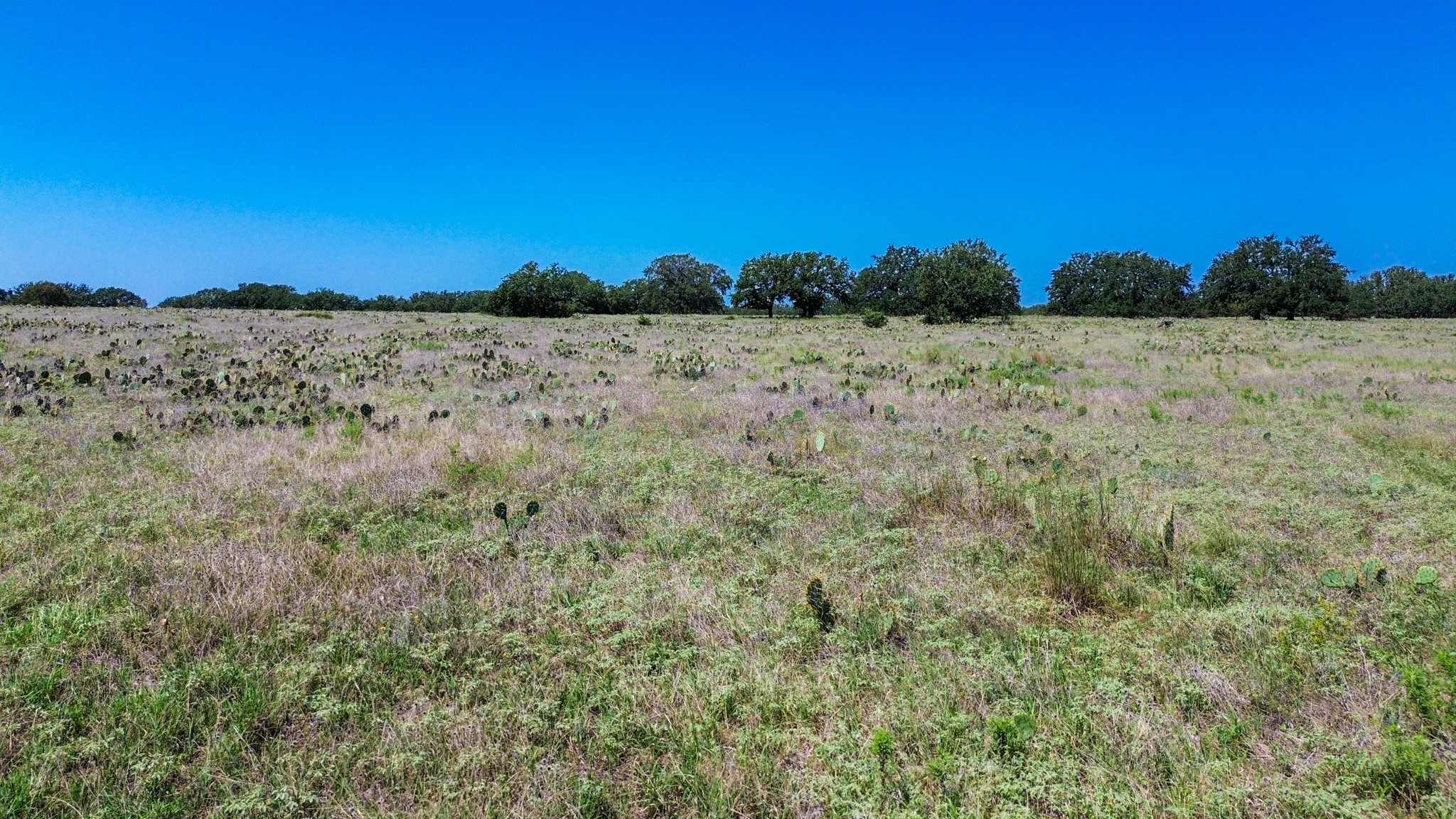 Lot 106 N Waterbuck Way Lampasas TX 76550