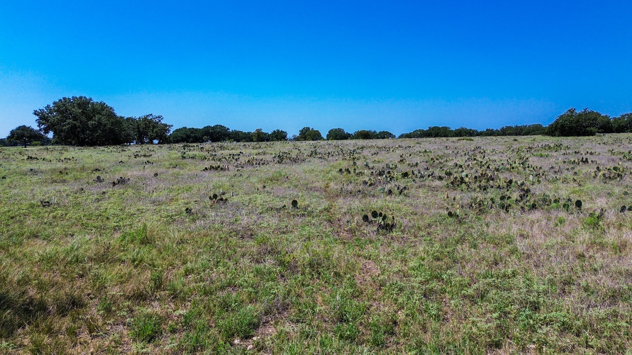 Lot 106 N Waterbuck Way Lampasas TX 76550