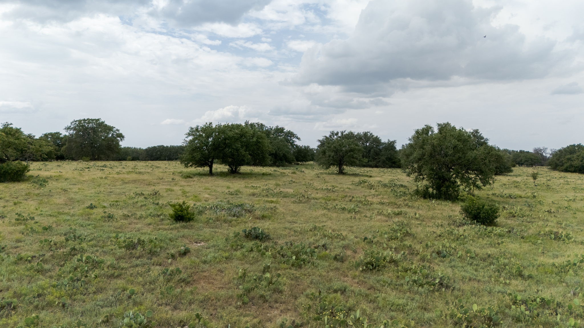 Lot 106 N Waterbuck Way Lampasas TX 76550