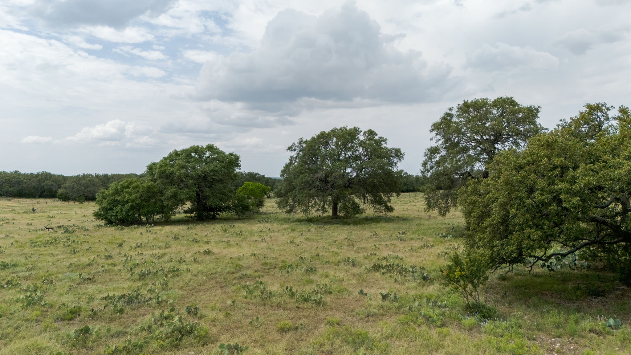 Lot 106 N Waterbuck Way Lampasas TX 76550