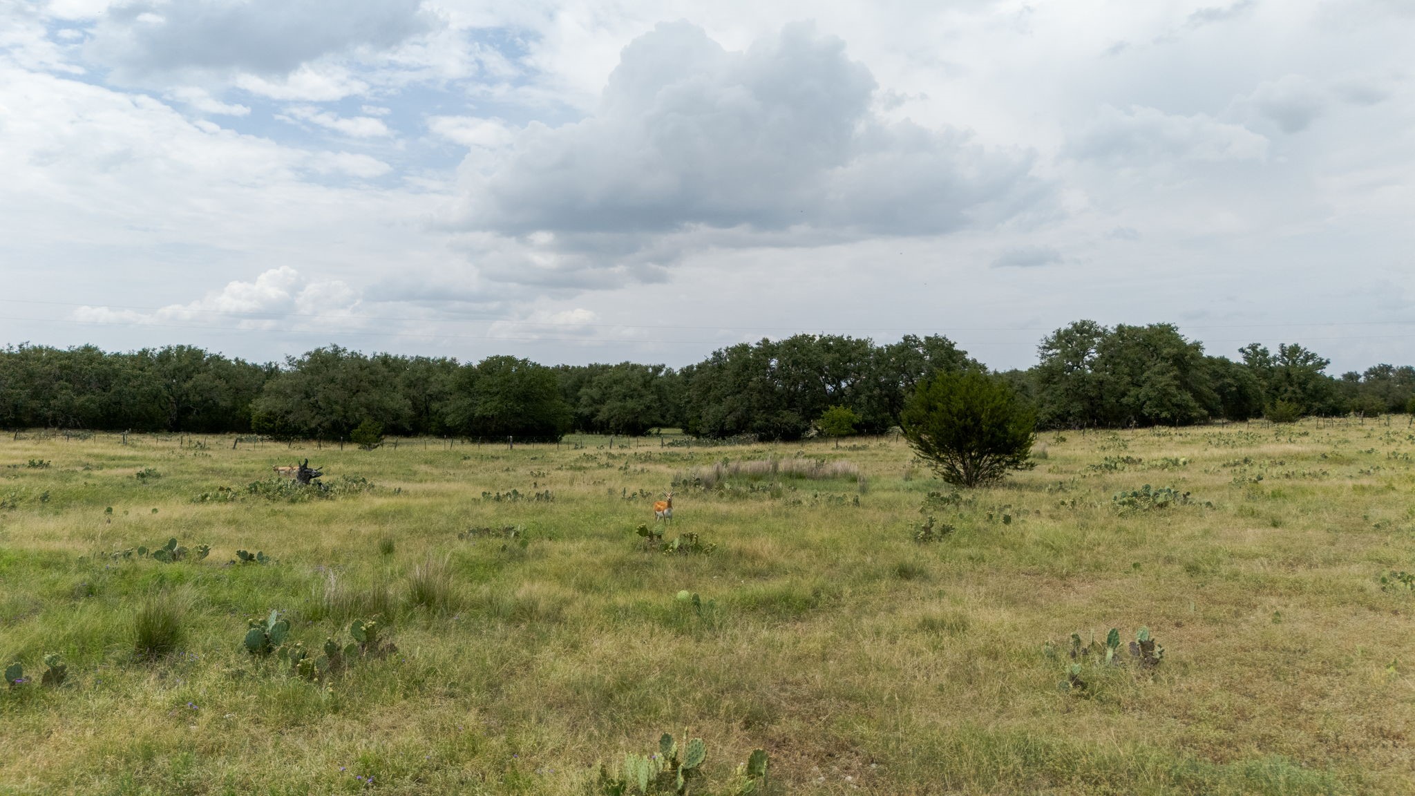 Lot 106 N Waterbuck Way Lampasas TX 76550