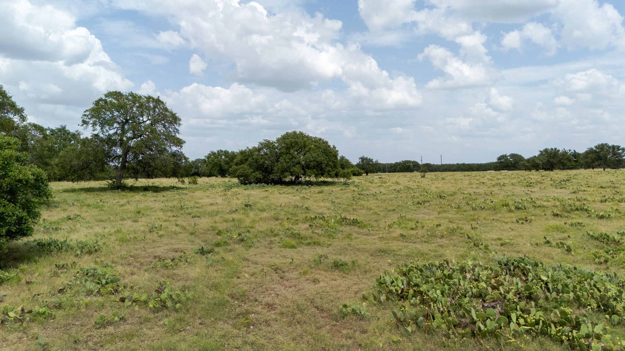 Lot 106 N Waterbuck Way Lampasas TX 76550