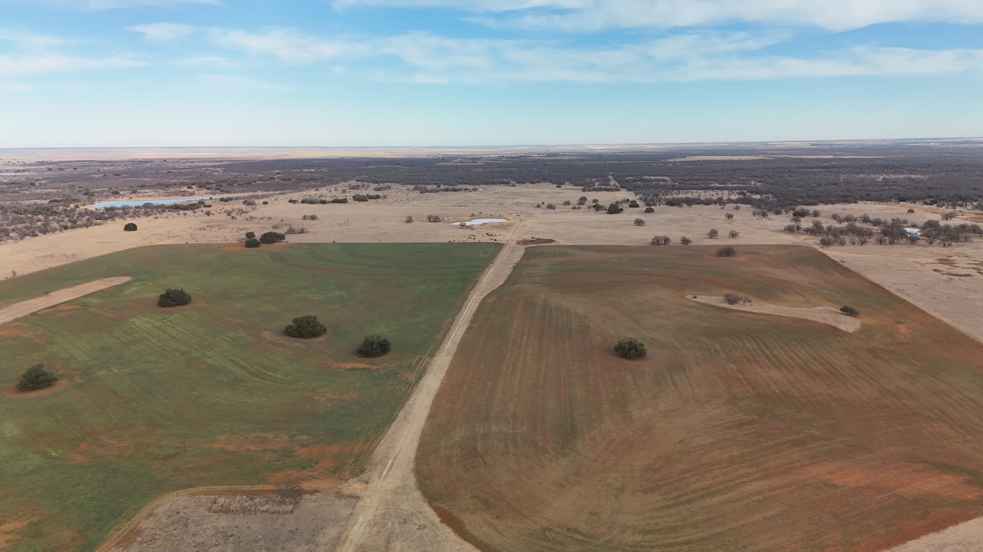 0000 Stephens Lane Newcastle TX 76372