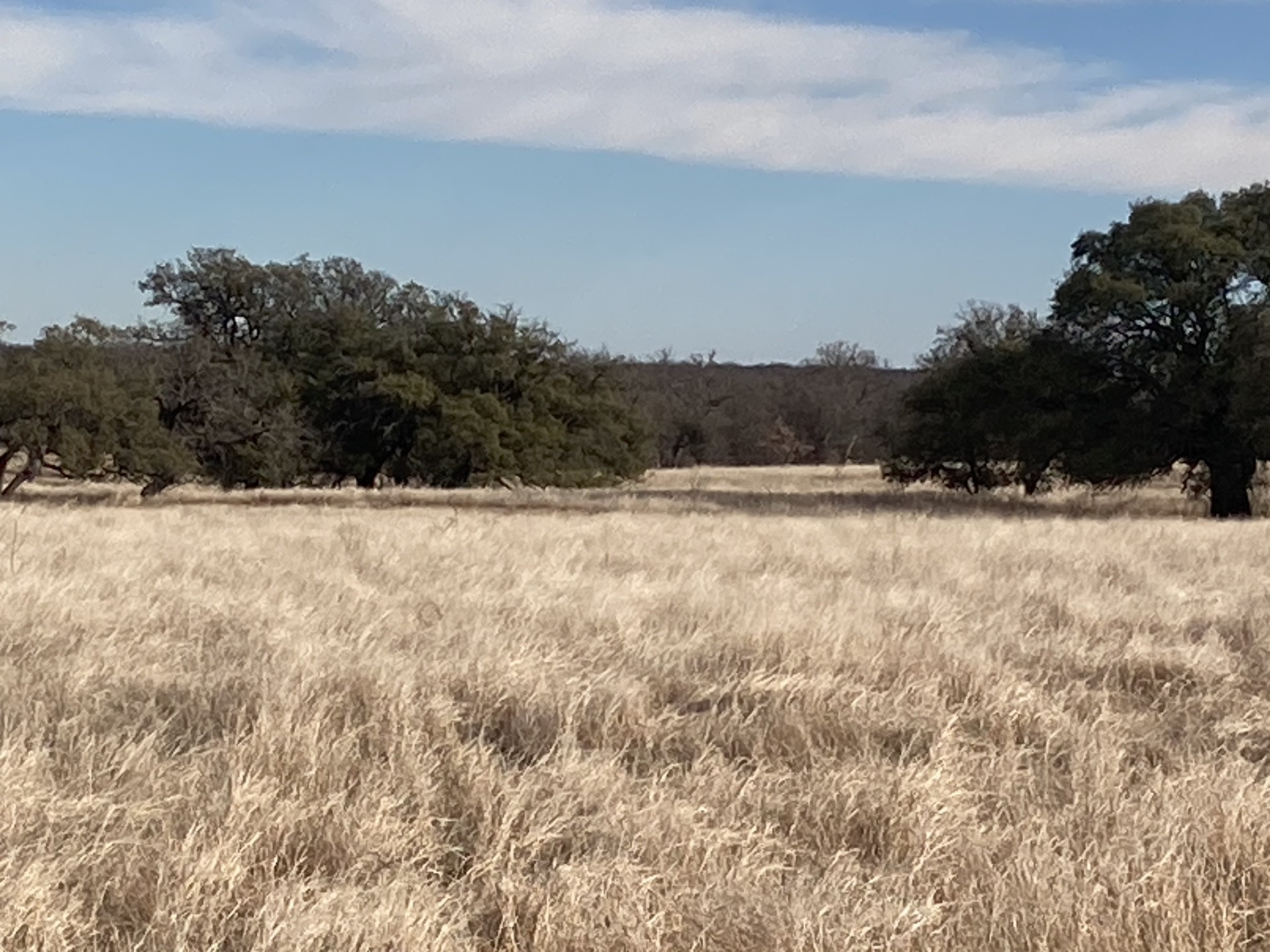 0000 Stephens Lane Newcastle TX 76372