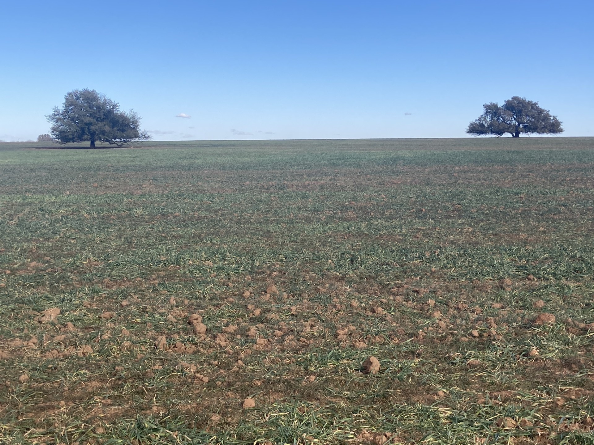 0000 Stephens Lane Newcastle TX 76372
