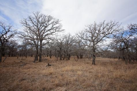 0000 Stephens Lane Newcastle TX 76372