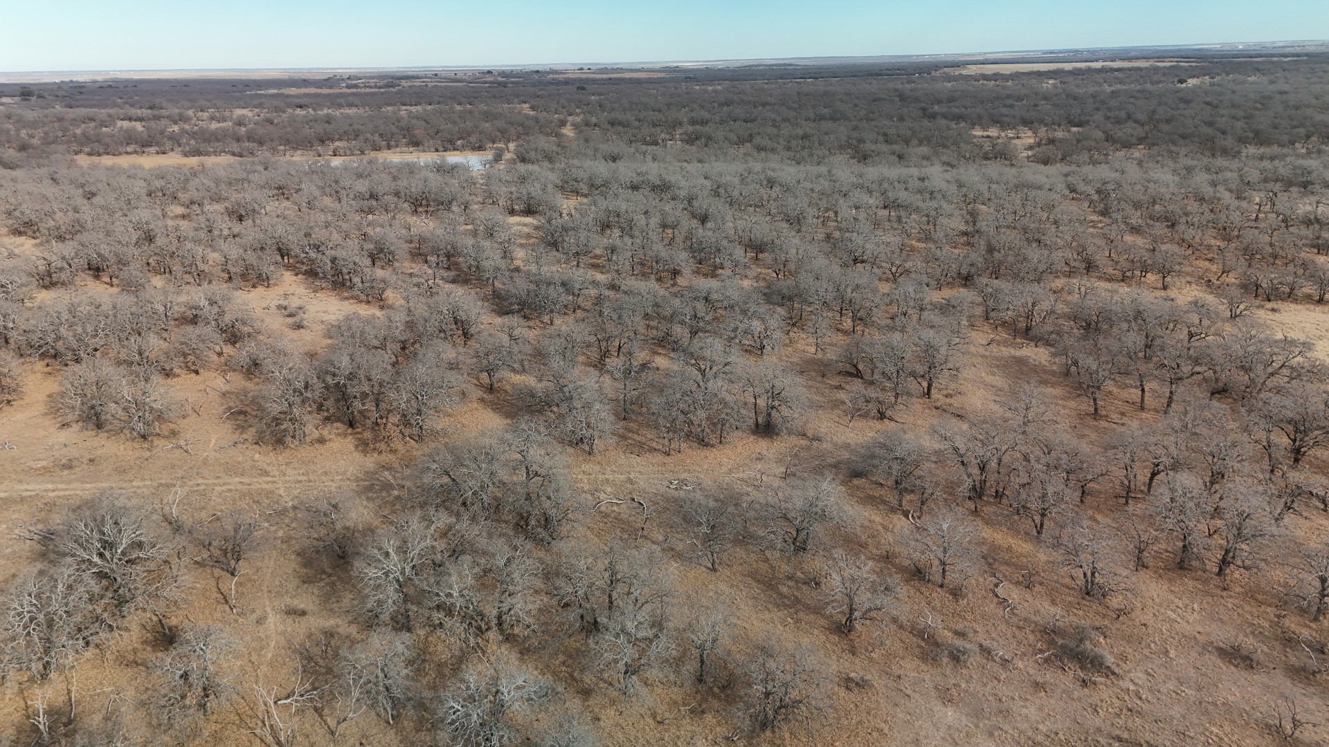 0000 Stephens Lane Newcastle TX 76372