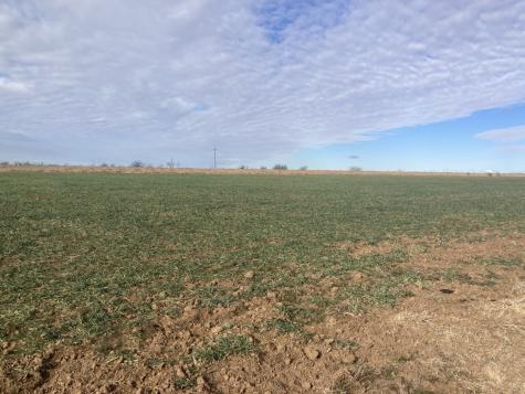 0000 Stephens Lane Newcastle TX 76372