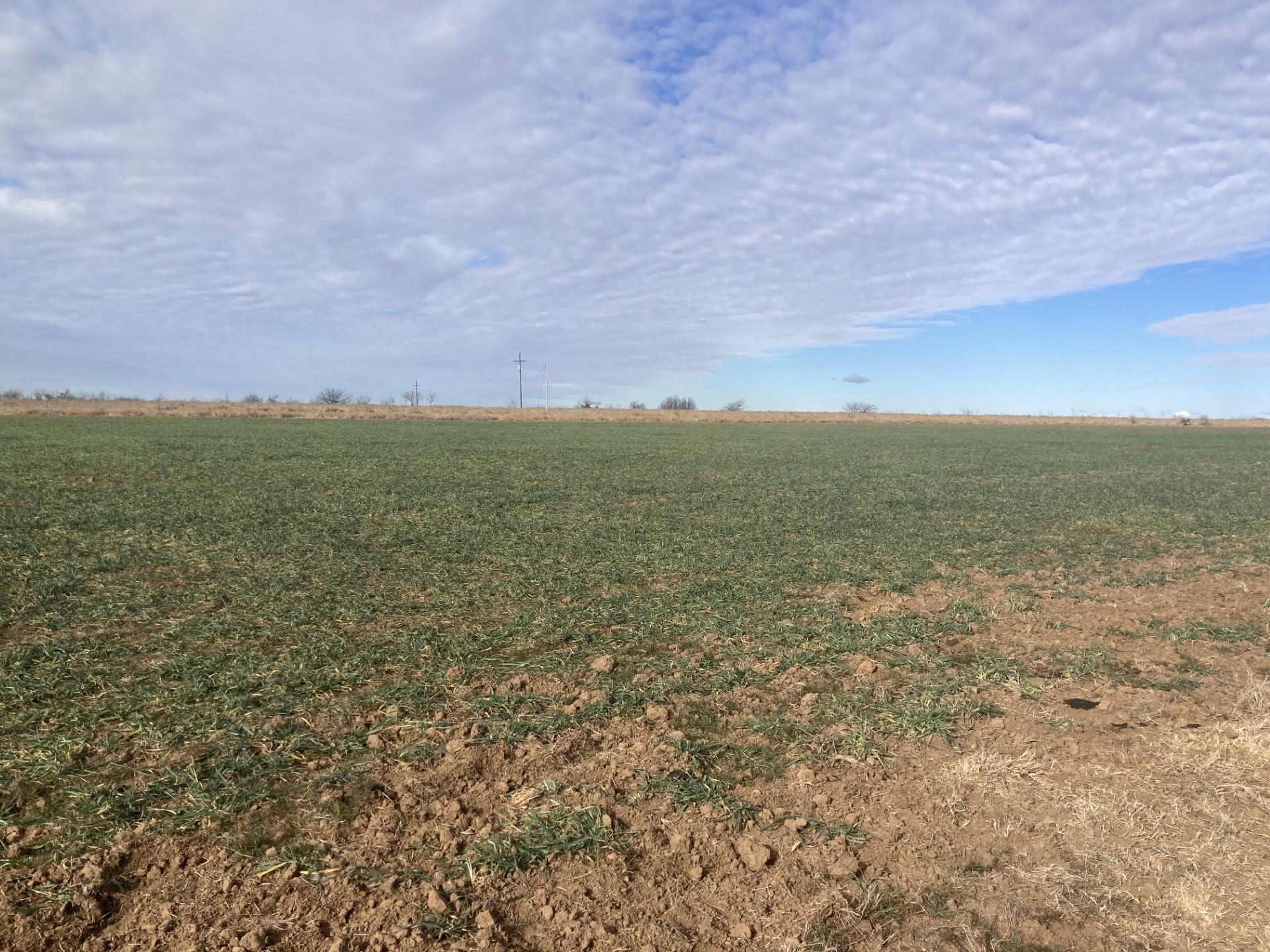 0000 Stephens Lane Newcastle TX 76372