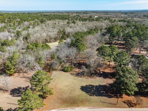 Tbd County Road 3807 Bullard TX 75757