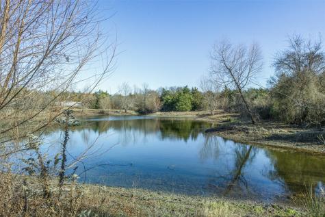 Tract 4 County Road 386 Groesbeck TX 76642