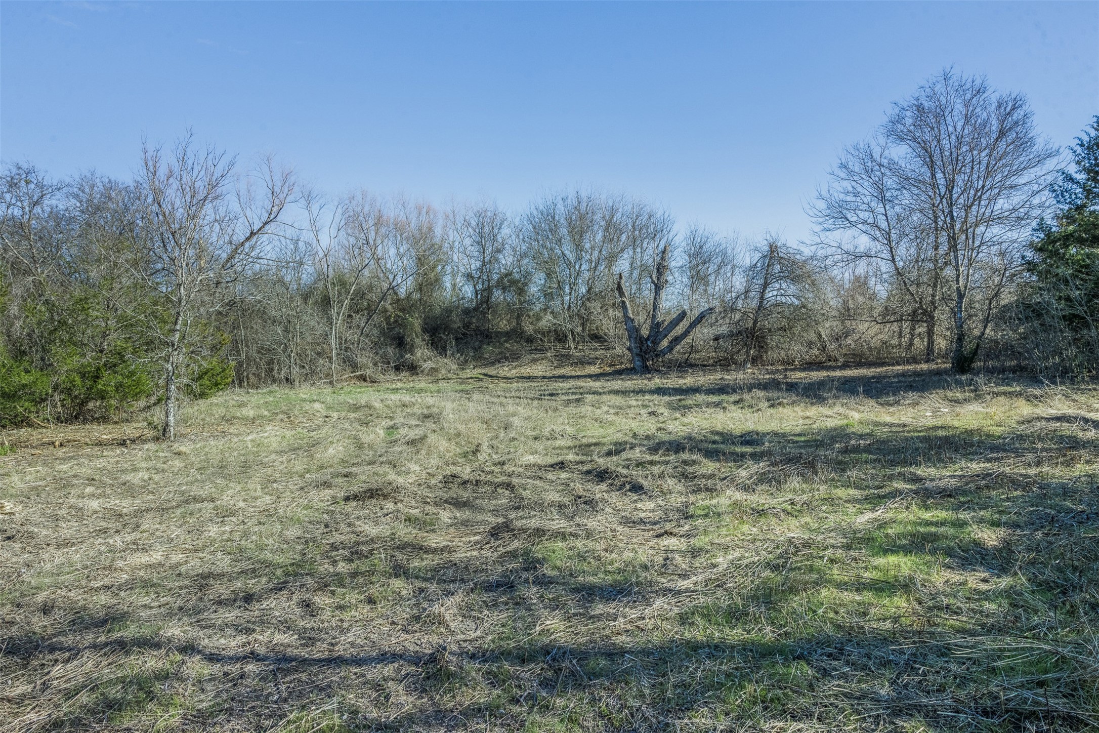 Tract 4 County Road 386 Groesbeck TX 76642