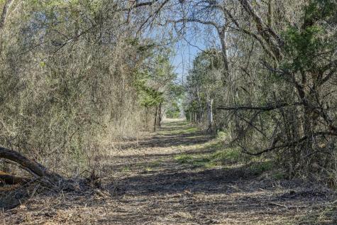 Tract 4 County Road 386 Groesbeck TX 76642