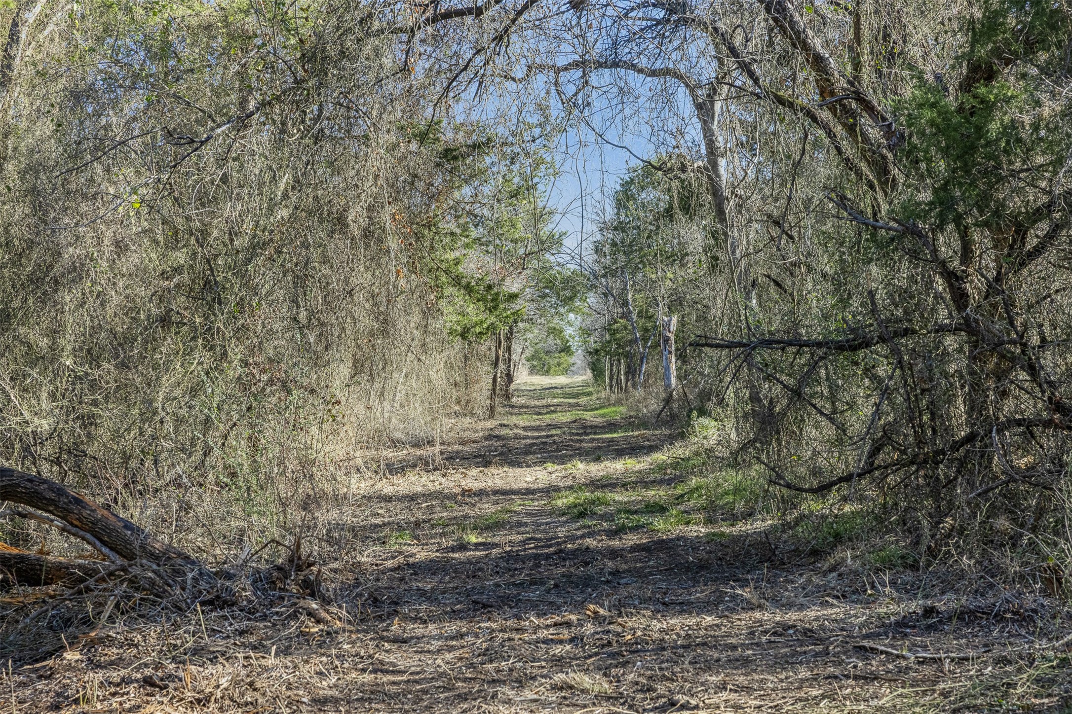 Tract 4 County Road 386 Groesbeck TX 76642