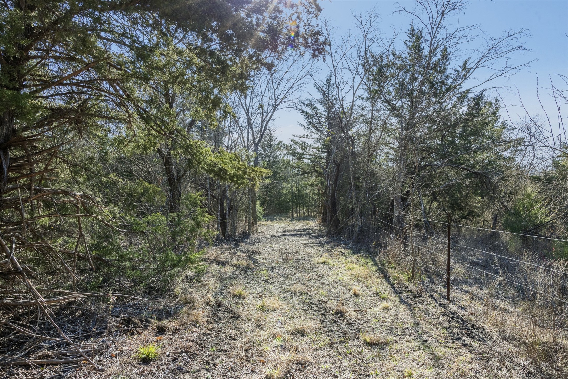 Tract 4 County Road 386 Groesbeck TX 76642
