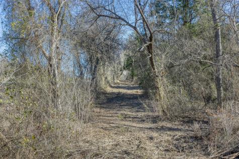 Tract 4 County Road 386 Groesbeck TX 76642