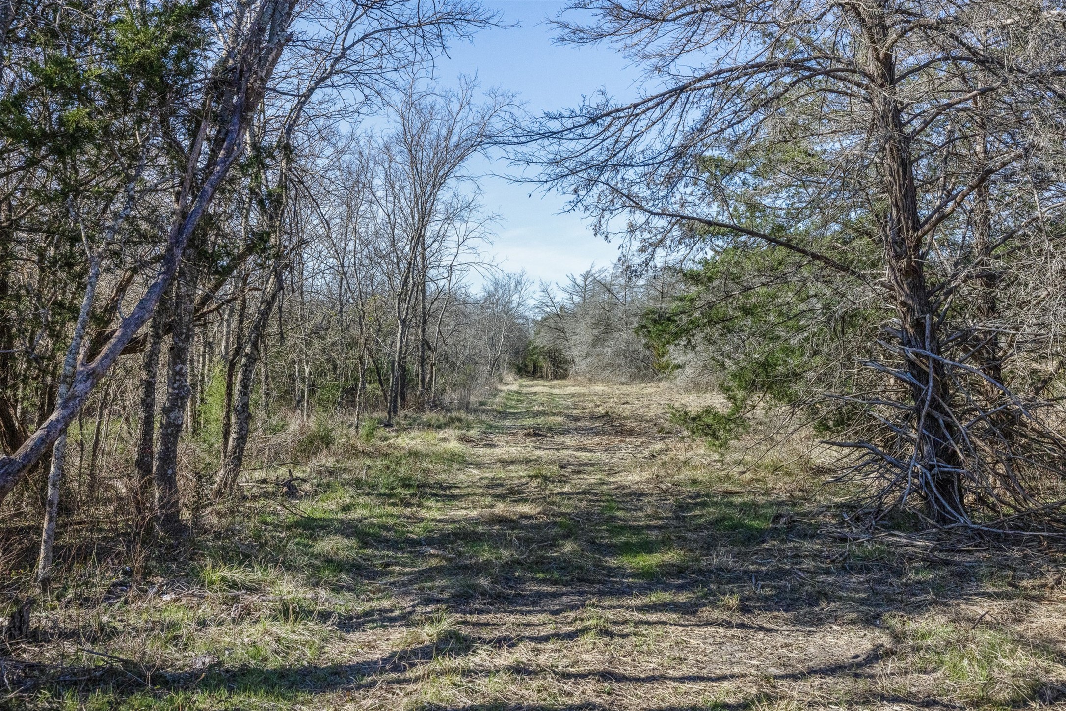 Tract 4 County Road 386 Groesbeck TX 76642