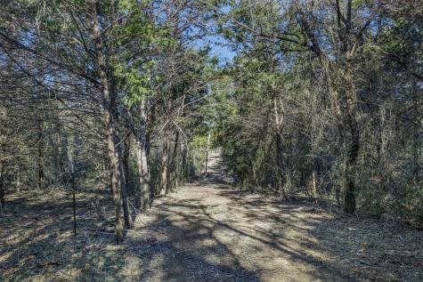 Tract 4 County Road 386 Groesbeck TX 76642
