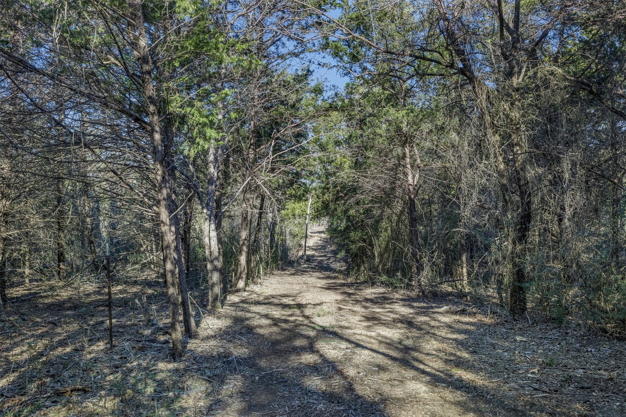 Tract 4 County Road 386 Groesbeck TX 76642