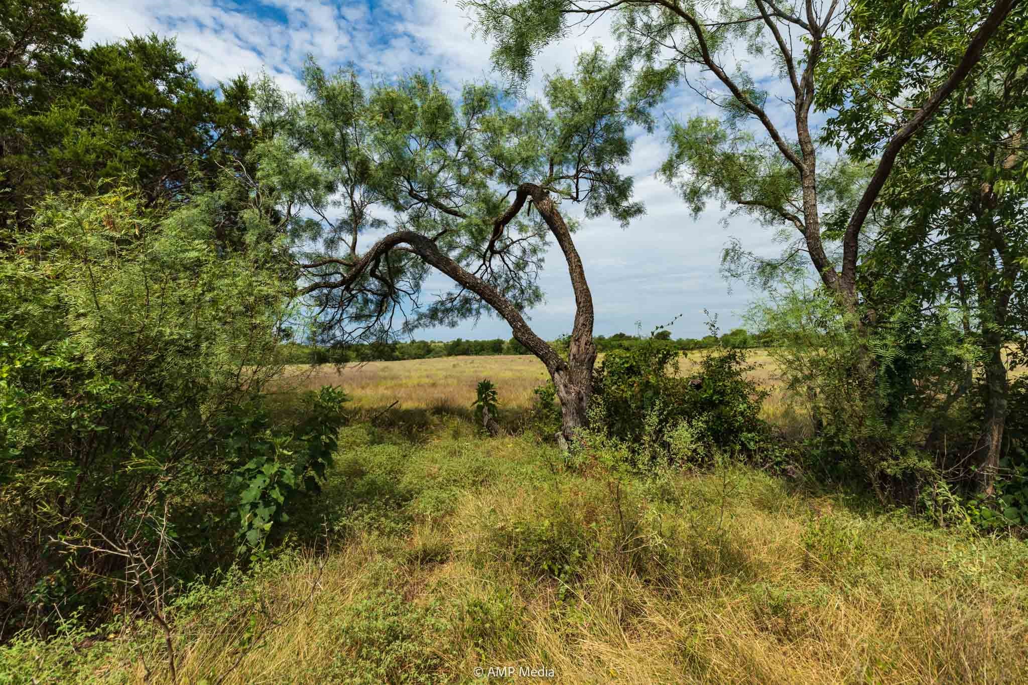241 Whitetail Springs Lane Gustine TX 76455