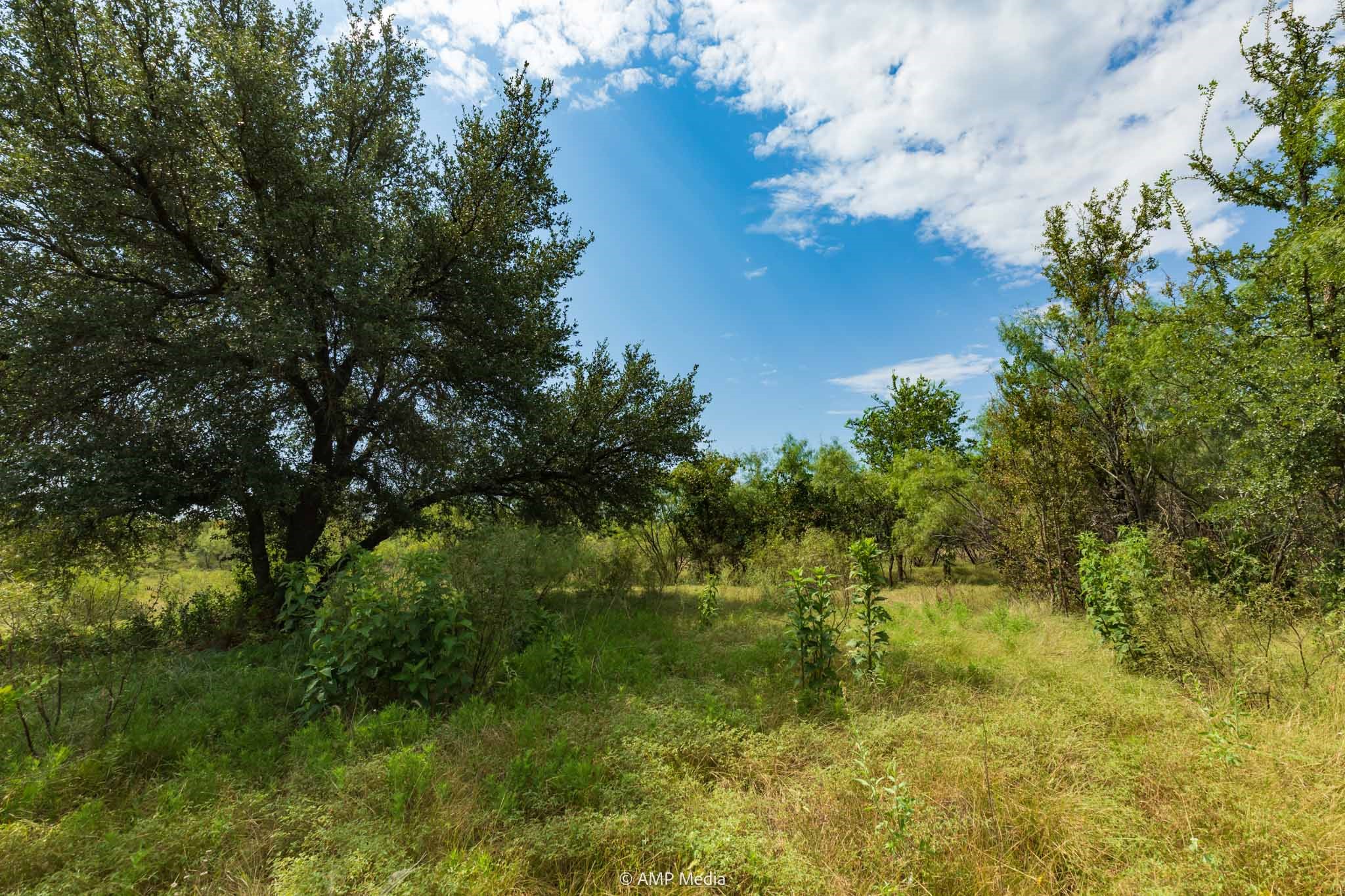 241 Whitetail Springs Lane Gustine TX 76455
